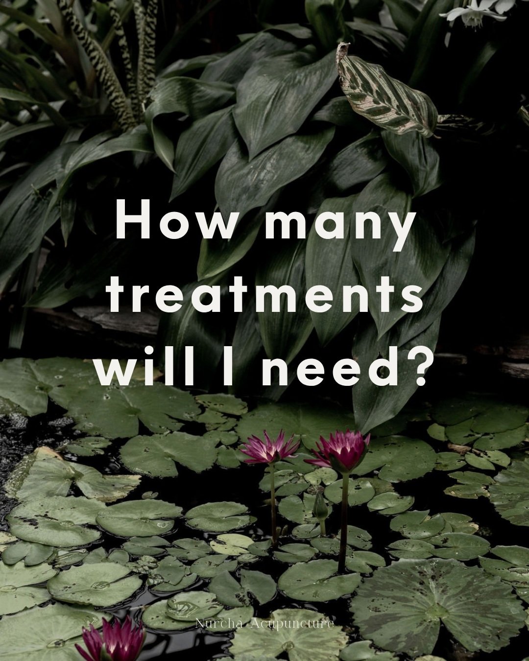 The question I get every single week: 'How many sessions will I need?'

Honestly? It depends. Acupuncture is cumulative - it's rarely a one-and-done.

For something acute, you might feel a shift in 2-4 sessions. For hormonal or chronic concerns (PCOS
