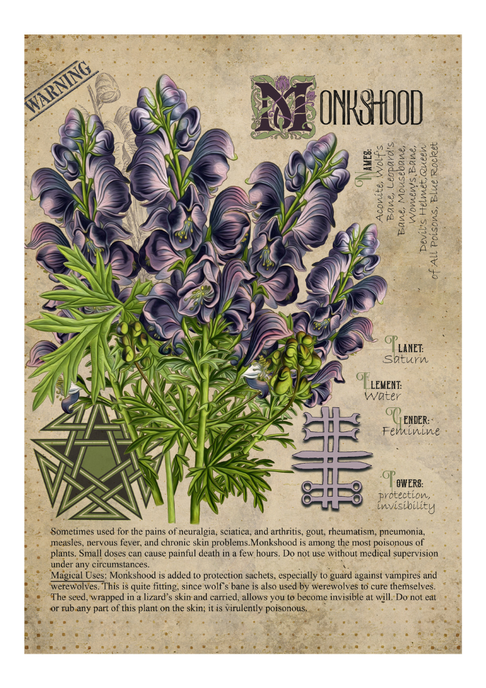 Monkshood - Style24Designs (copyright all rights reserved)