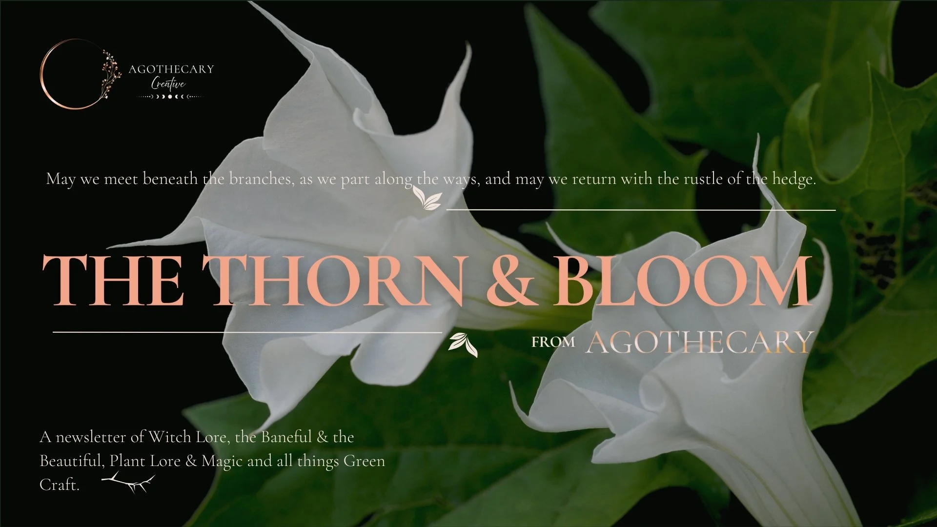 Beneath The Bloom