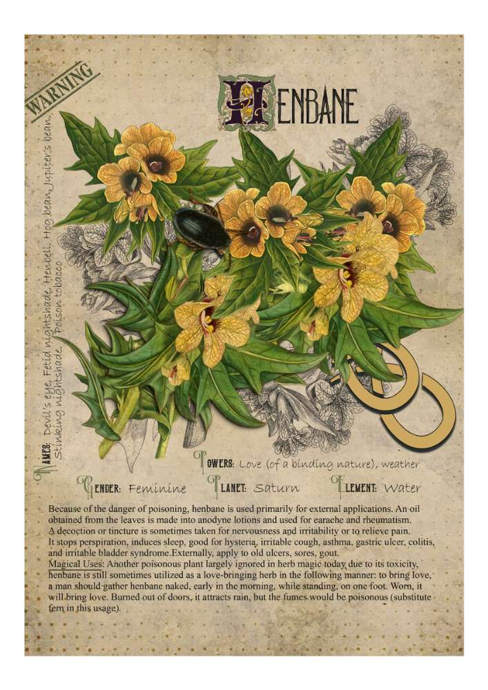 Henbane - Style24Designs (copyright all rights reserved)