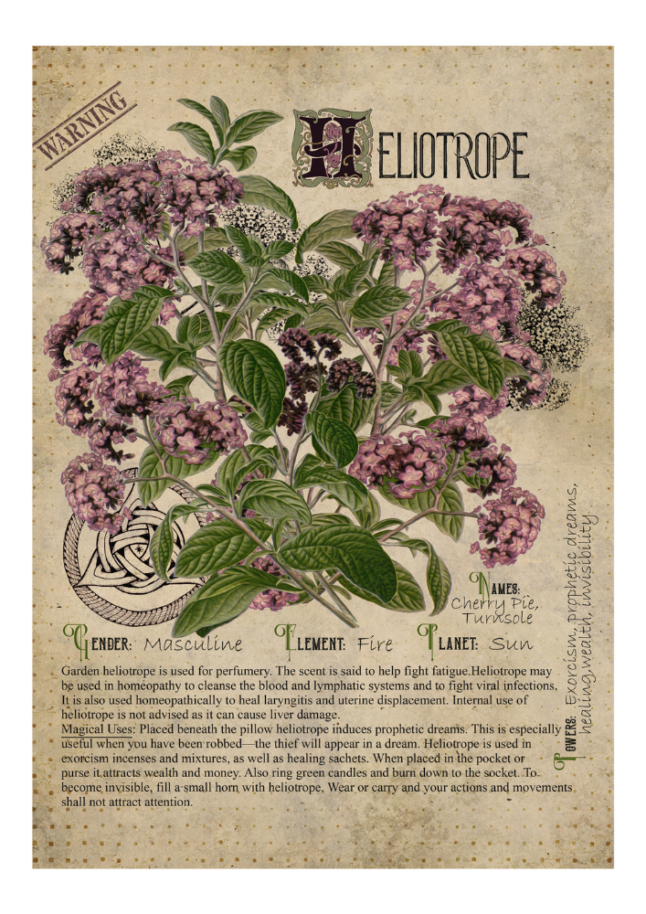 Heliotrope - Style24Designs (copyright all rights reserved)