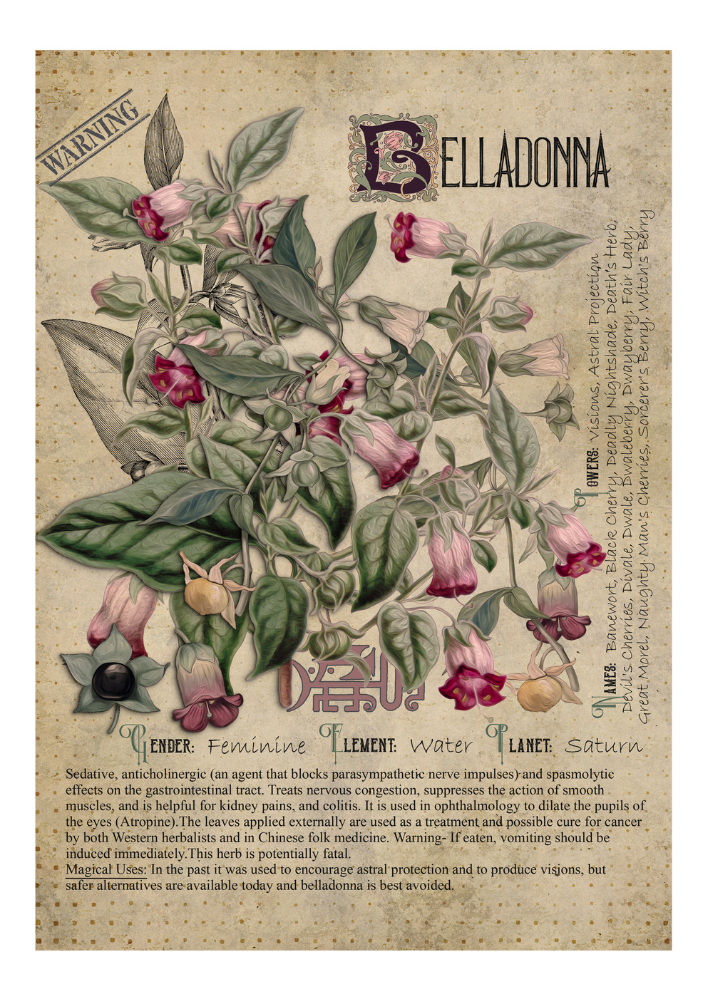 Belladonna - Style24Designs (copyright, all rights reserved)