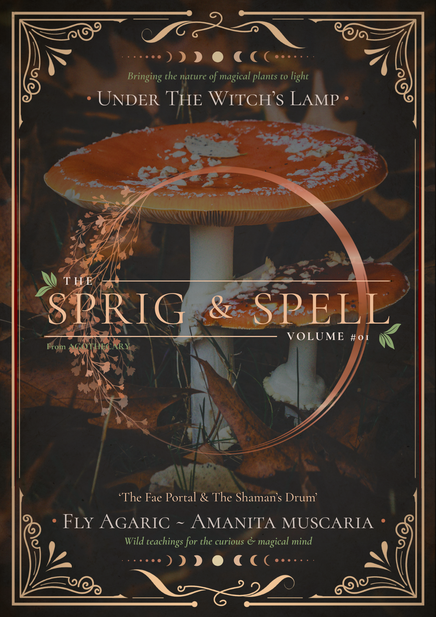Amanita.png
