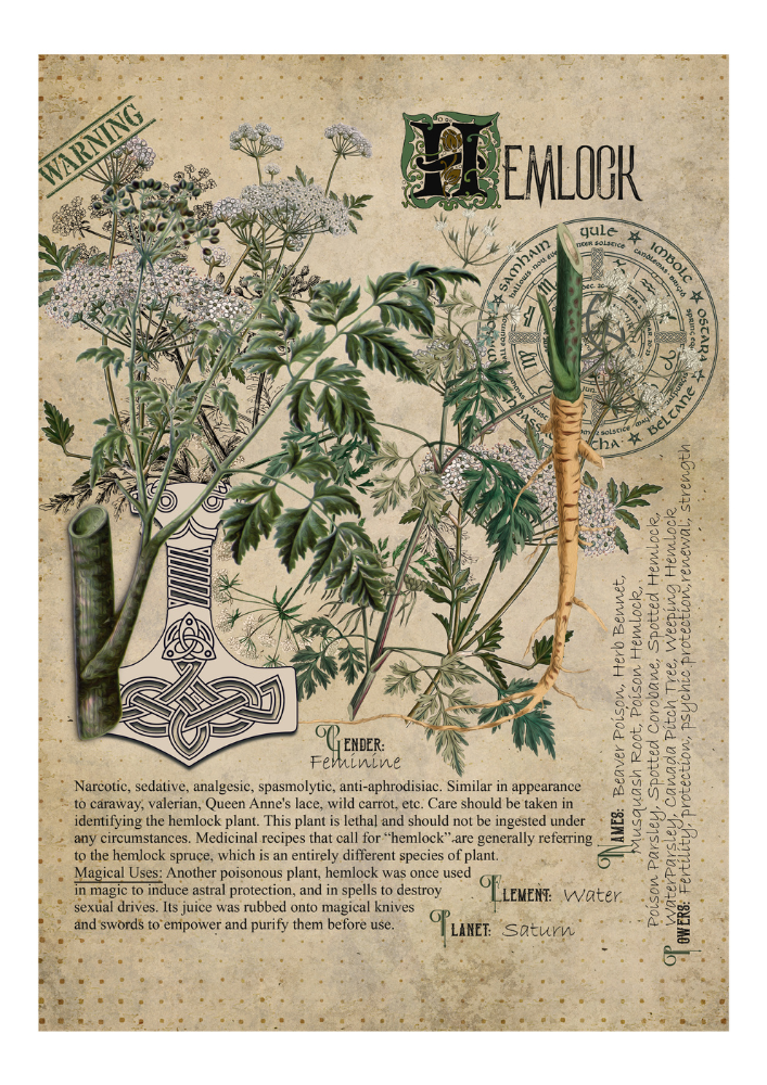 Hemlock - Style24Designs (copyright all rights reserved)
