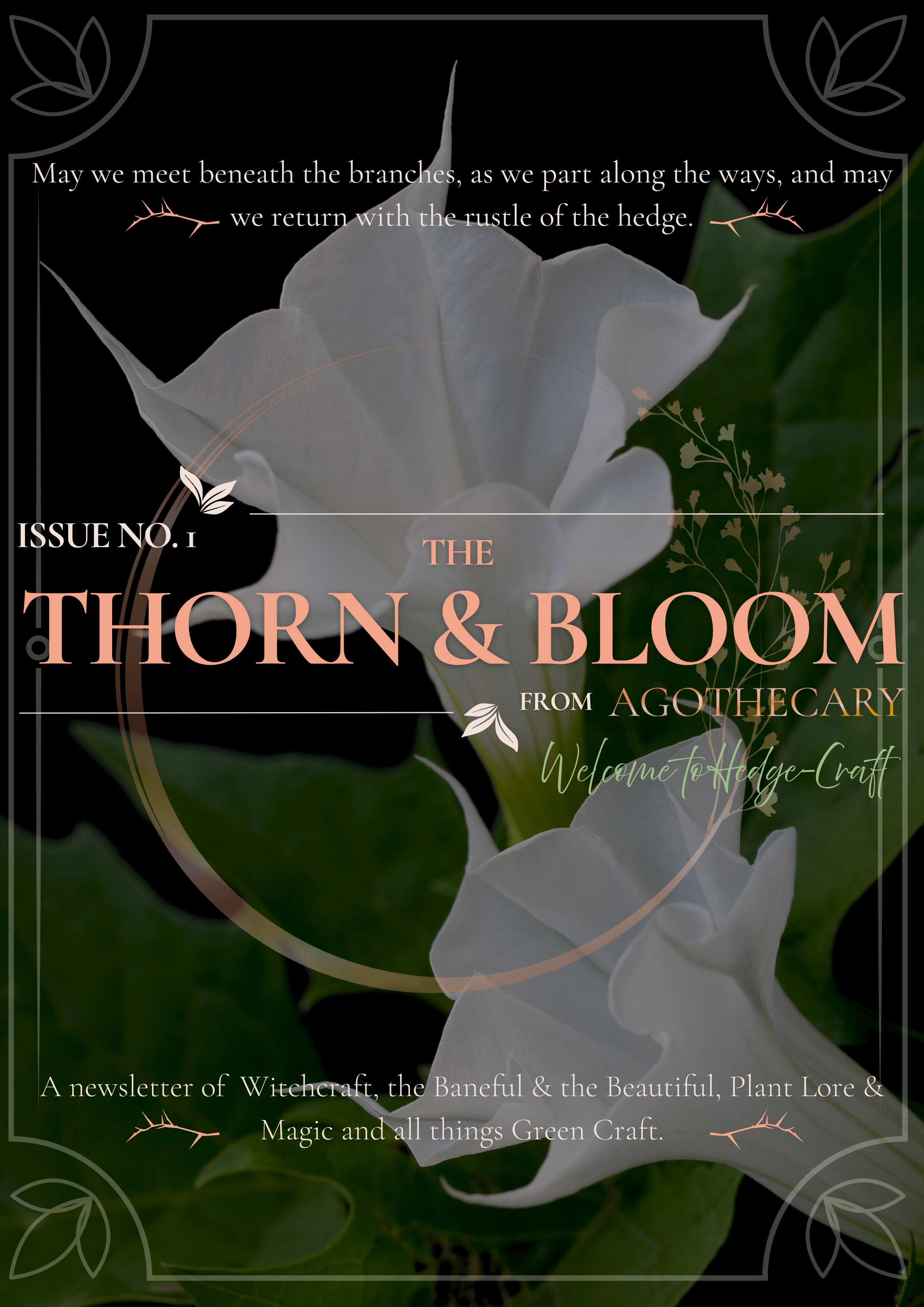 Thorn & Bloom Agothecary Issue One (3).png