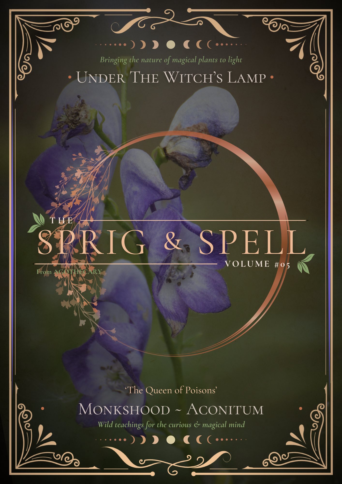 Monkshood.png