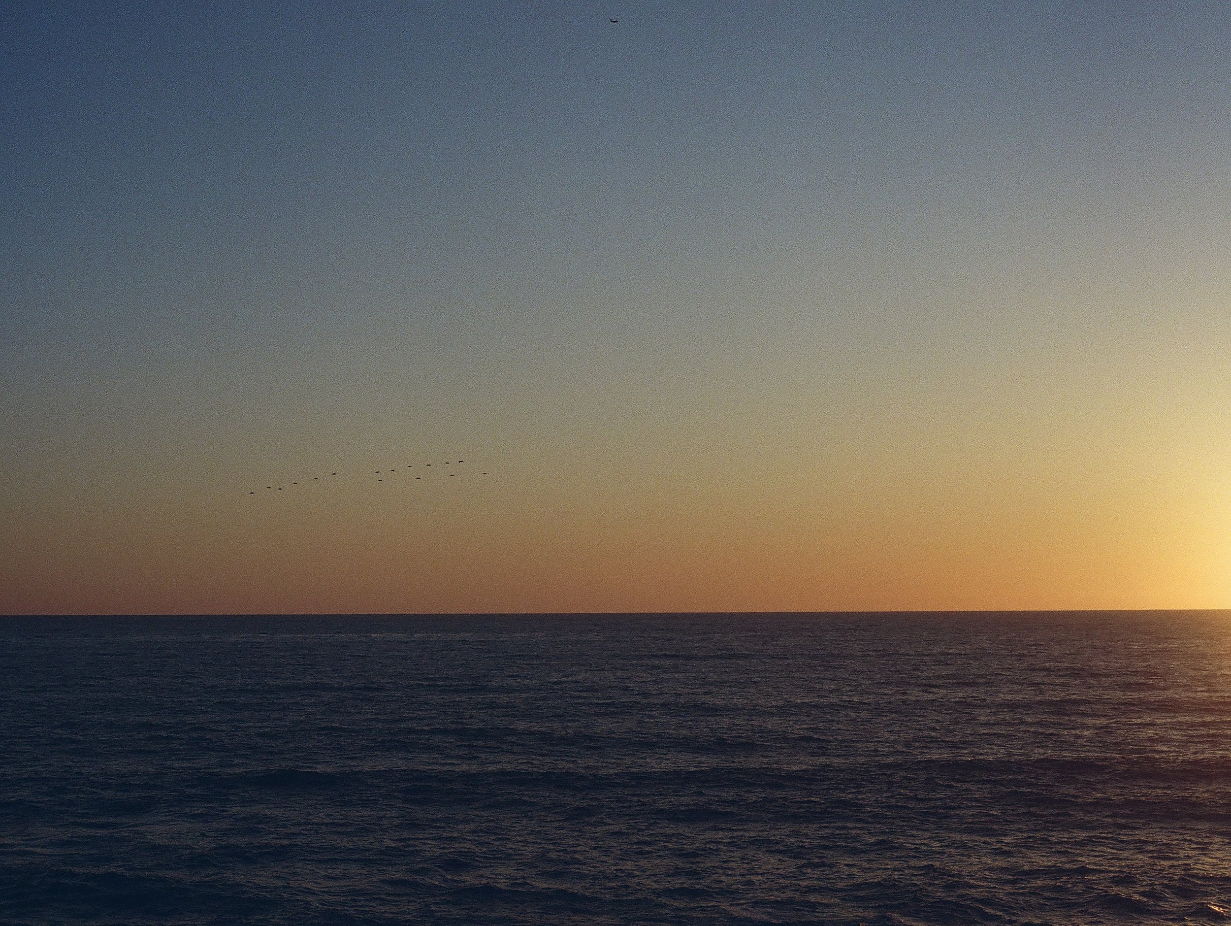653120020032.jpg