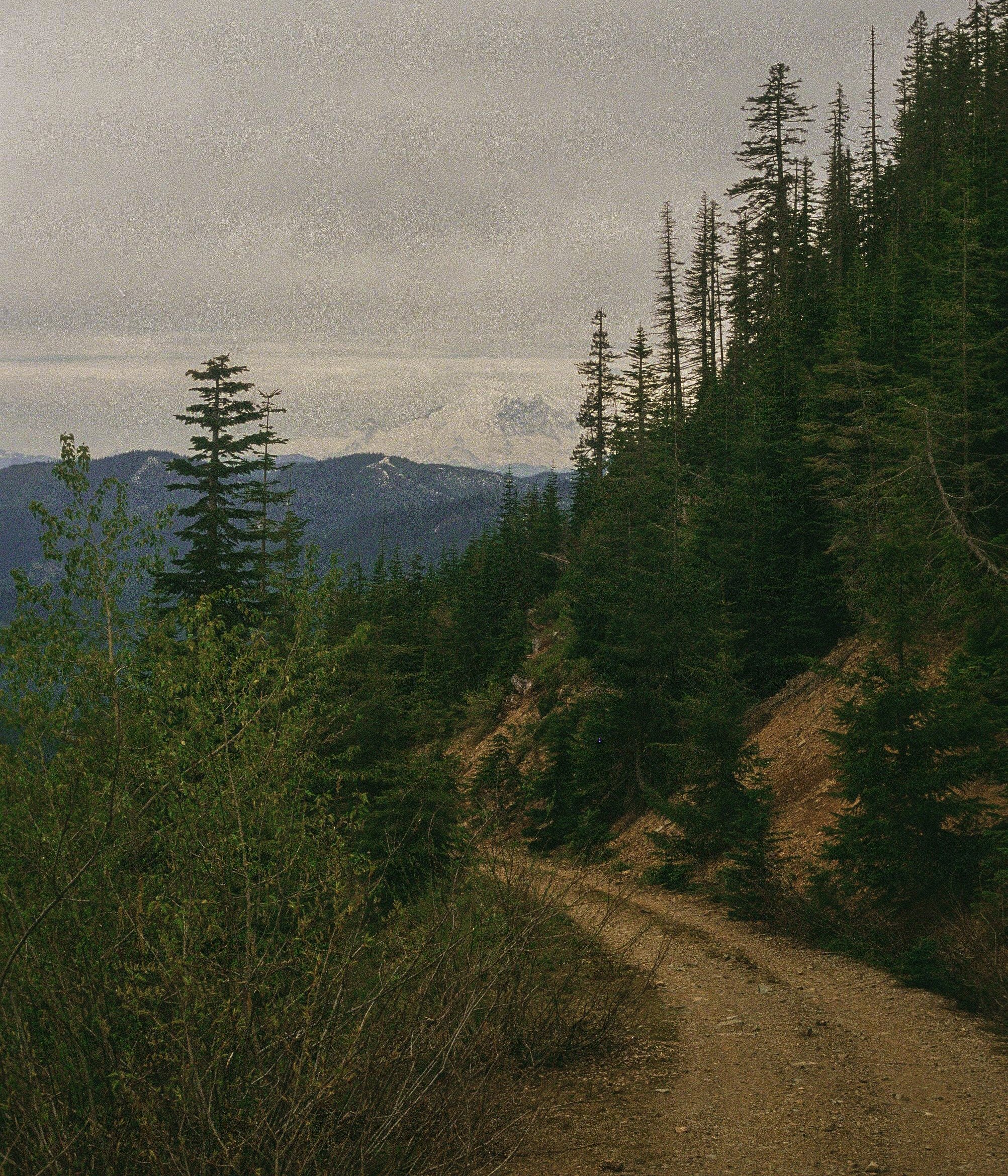 Scan213593.jpg