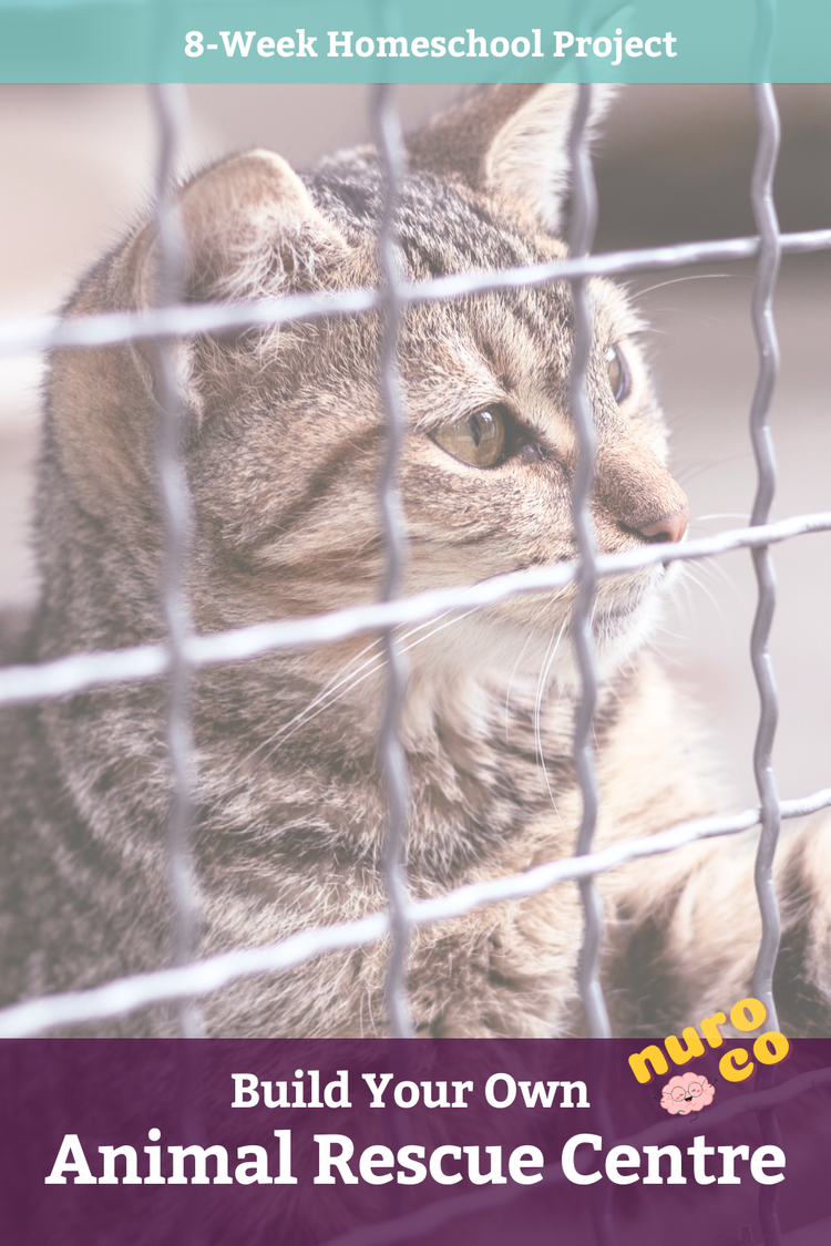 Animal Rescue Centre Project Spotlight — nuro co