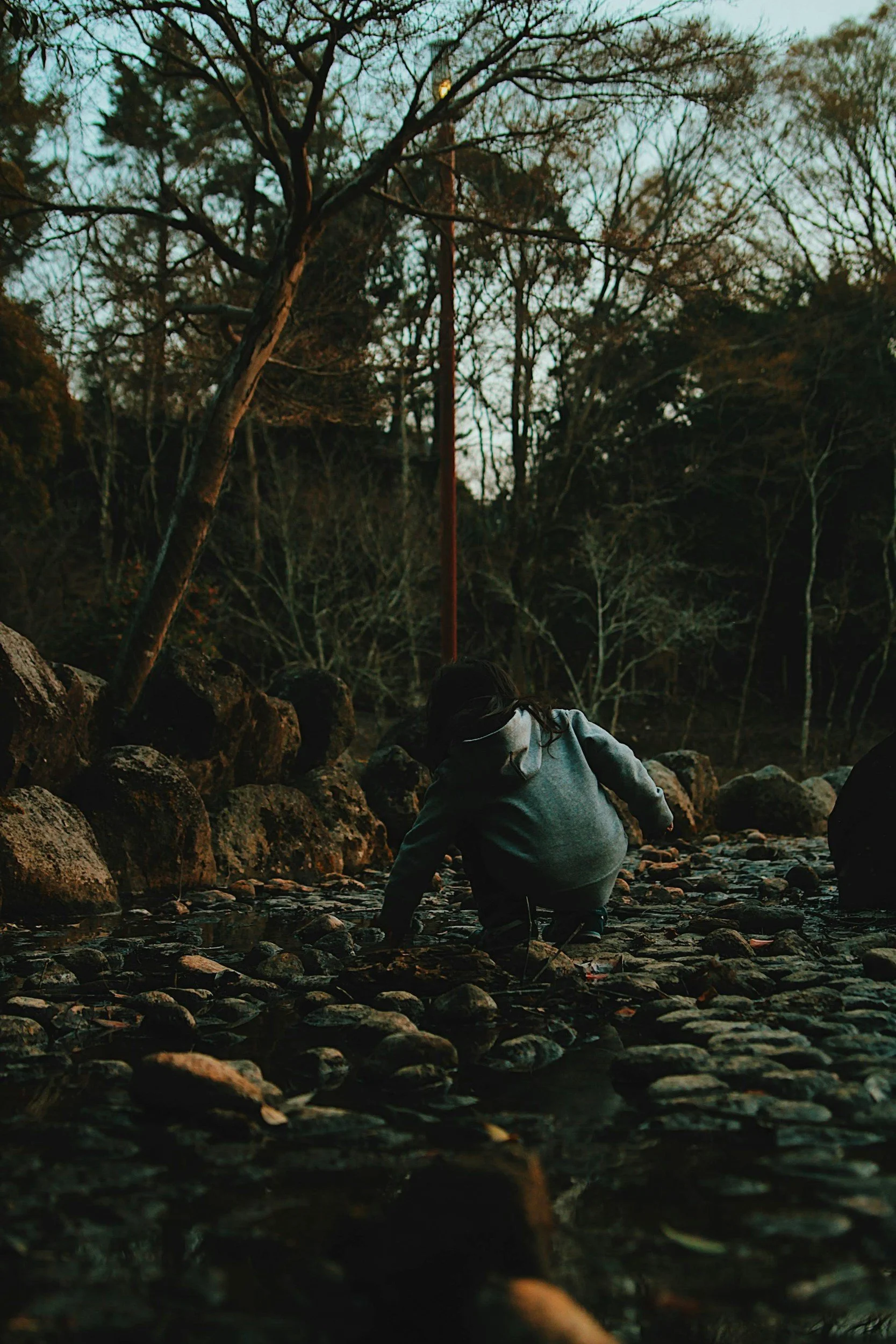 a child investigates pebbles in a creek