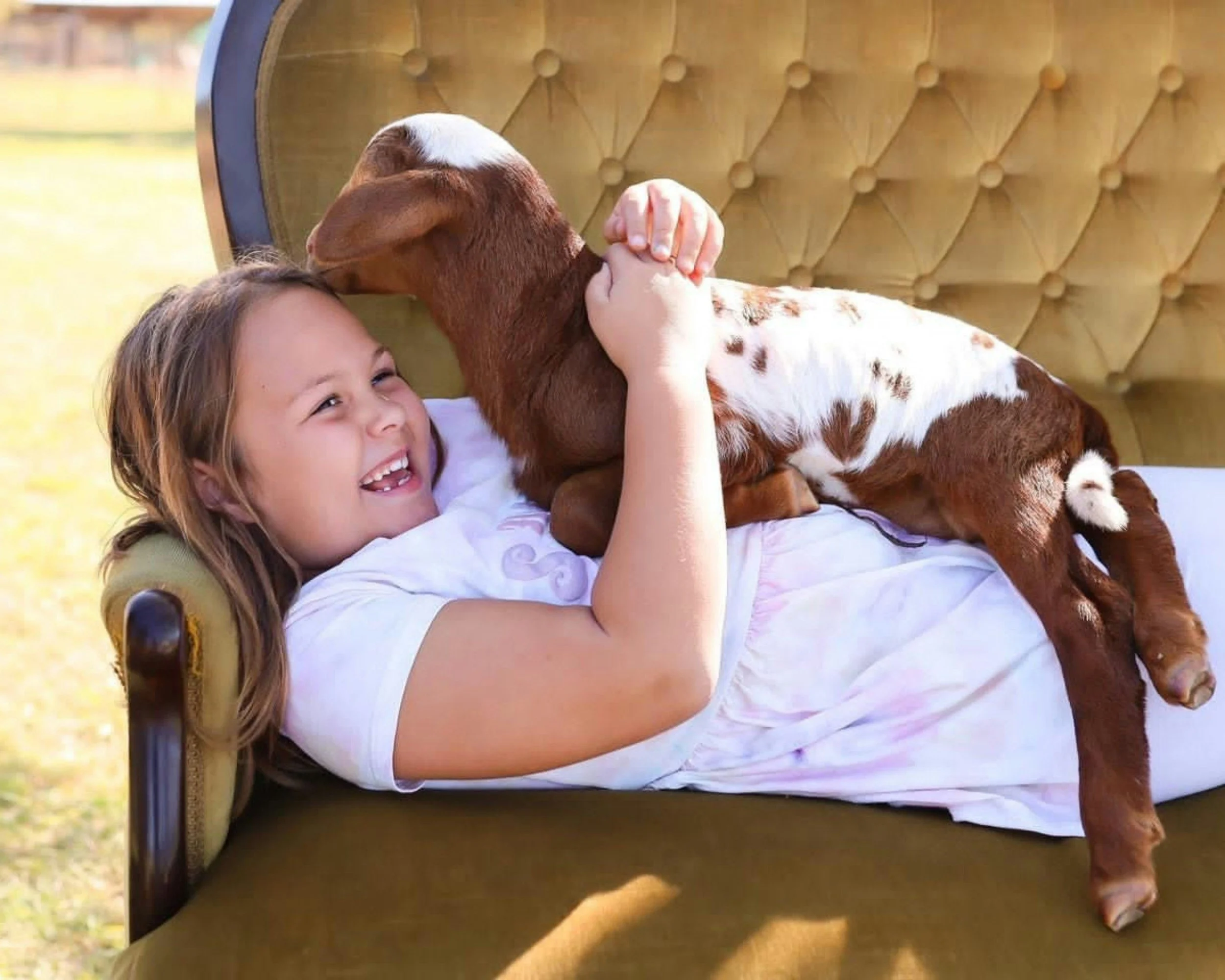 a happy kid cuddles a goat