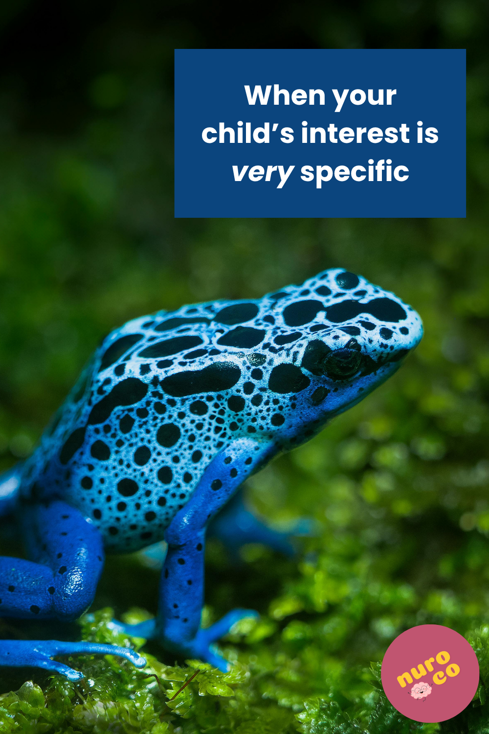 a bright blue, spotted frog