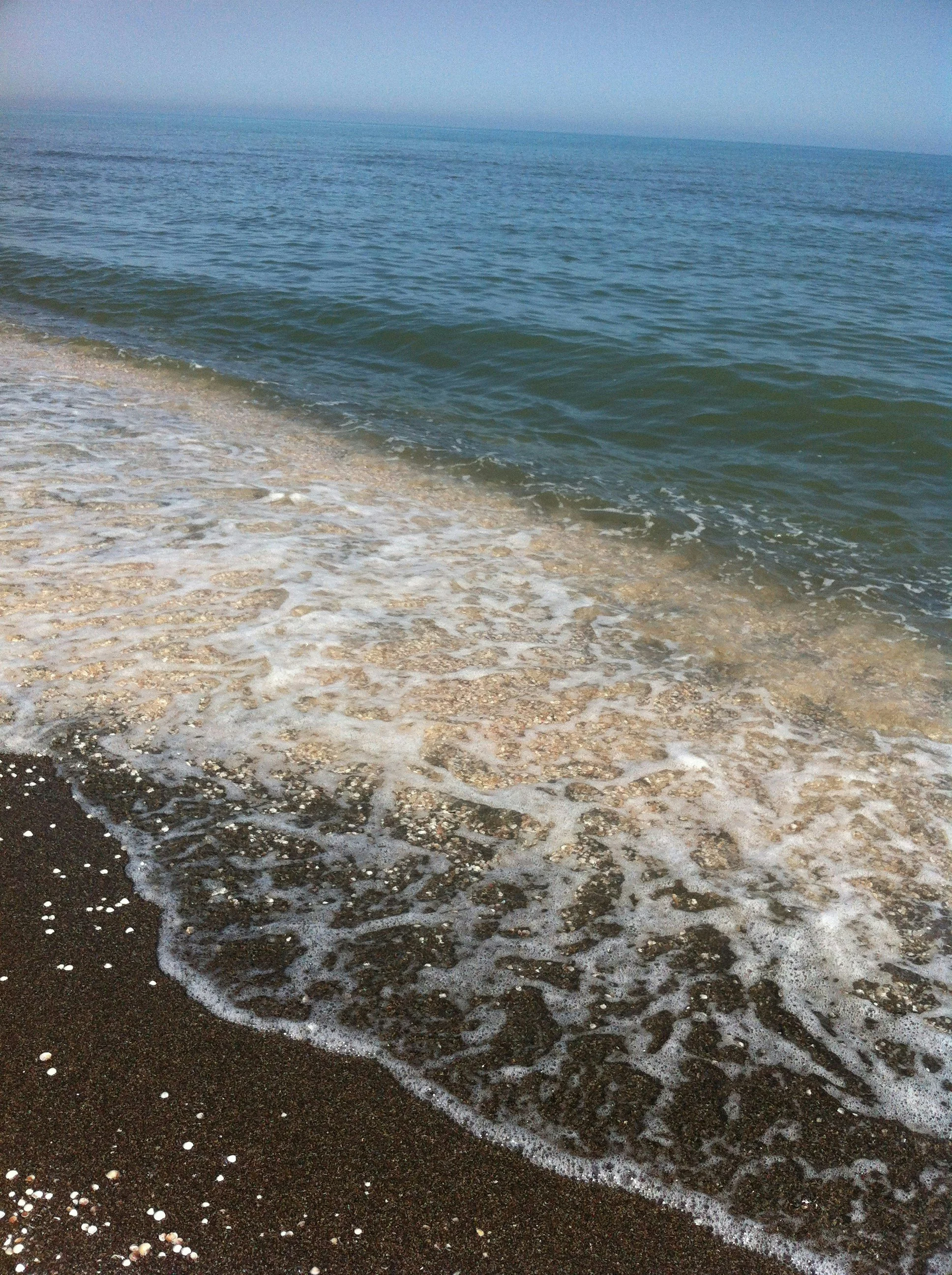 ocean and beach.jpg