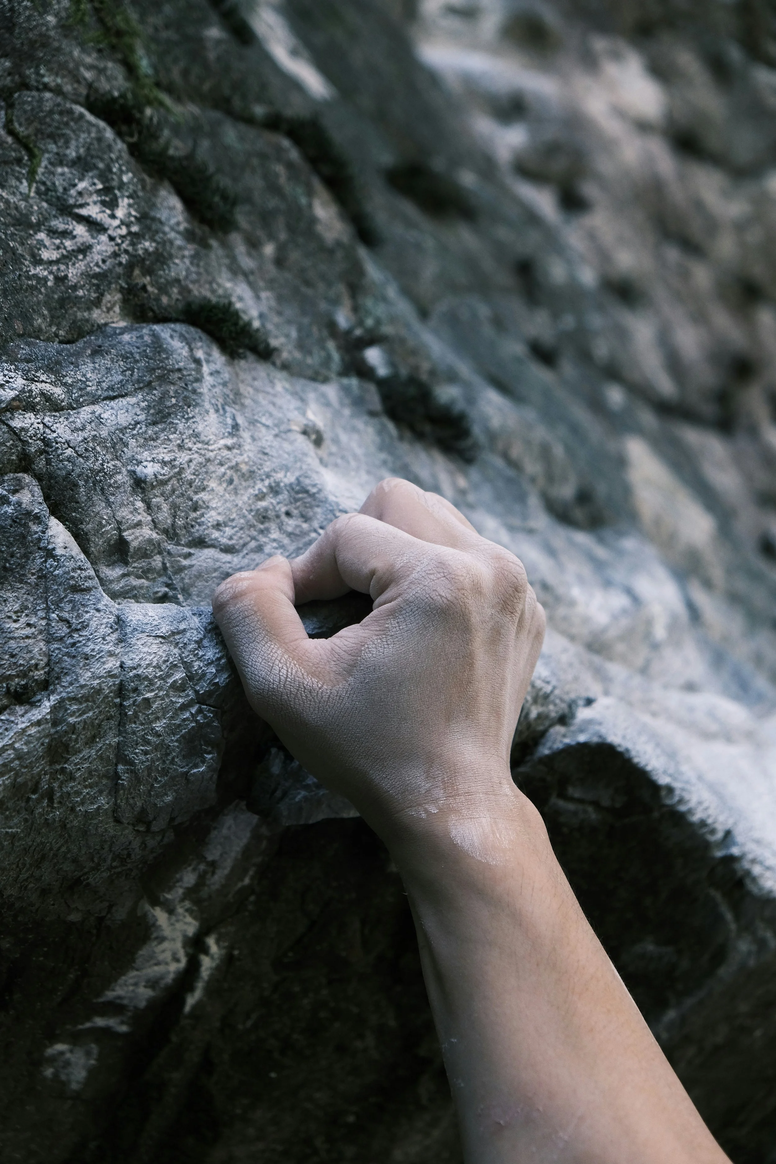 Ascension Coaching Program