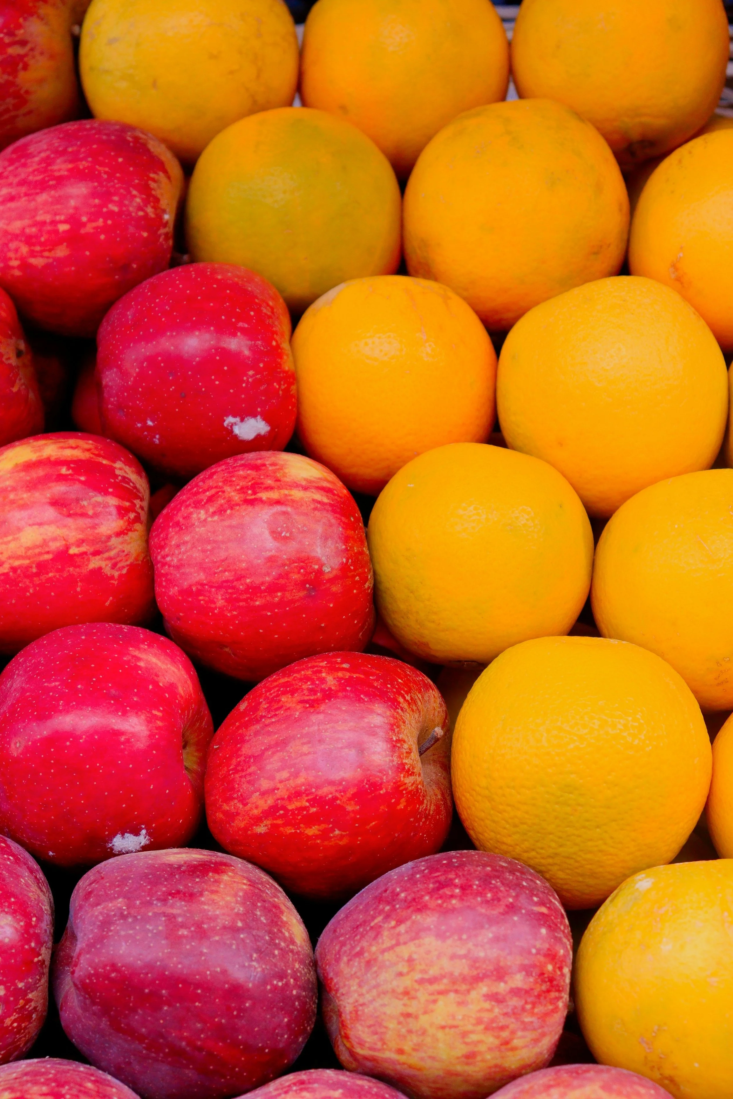 apples and oranges.jpg
