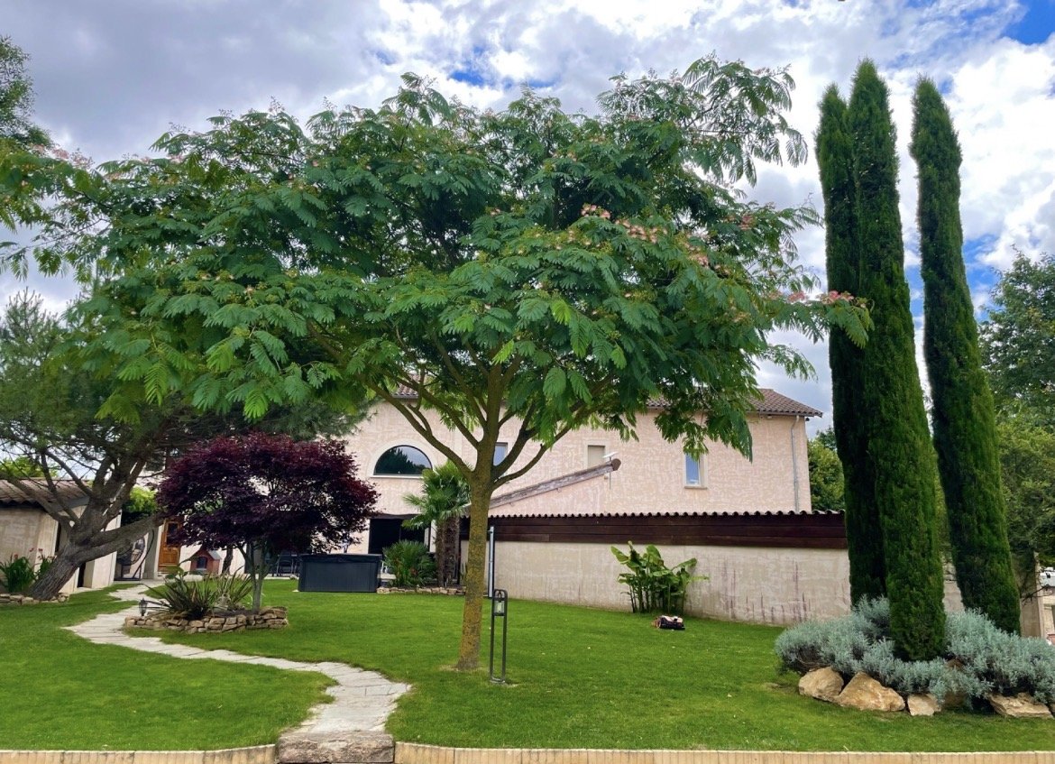 Jardin avec un arbre central, pelouse verte, petits arbustes, et trois grands cyprès à droite devant une maison avec un mur en pierre, ciel nuageux en arrière-plan.