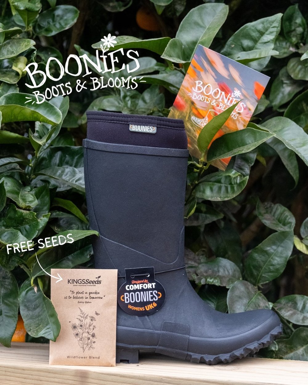 A black Boonies gumboot with a free Kings Seeds wildflower seed packet and Boots and Blooms card, in front of an orange tree