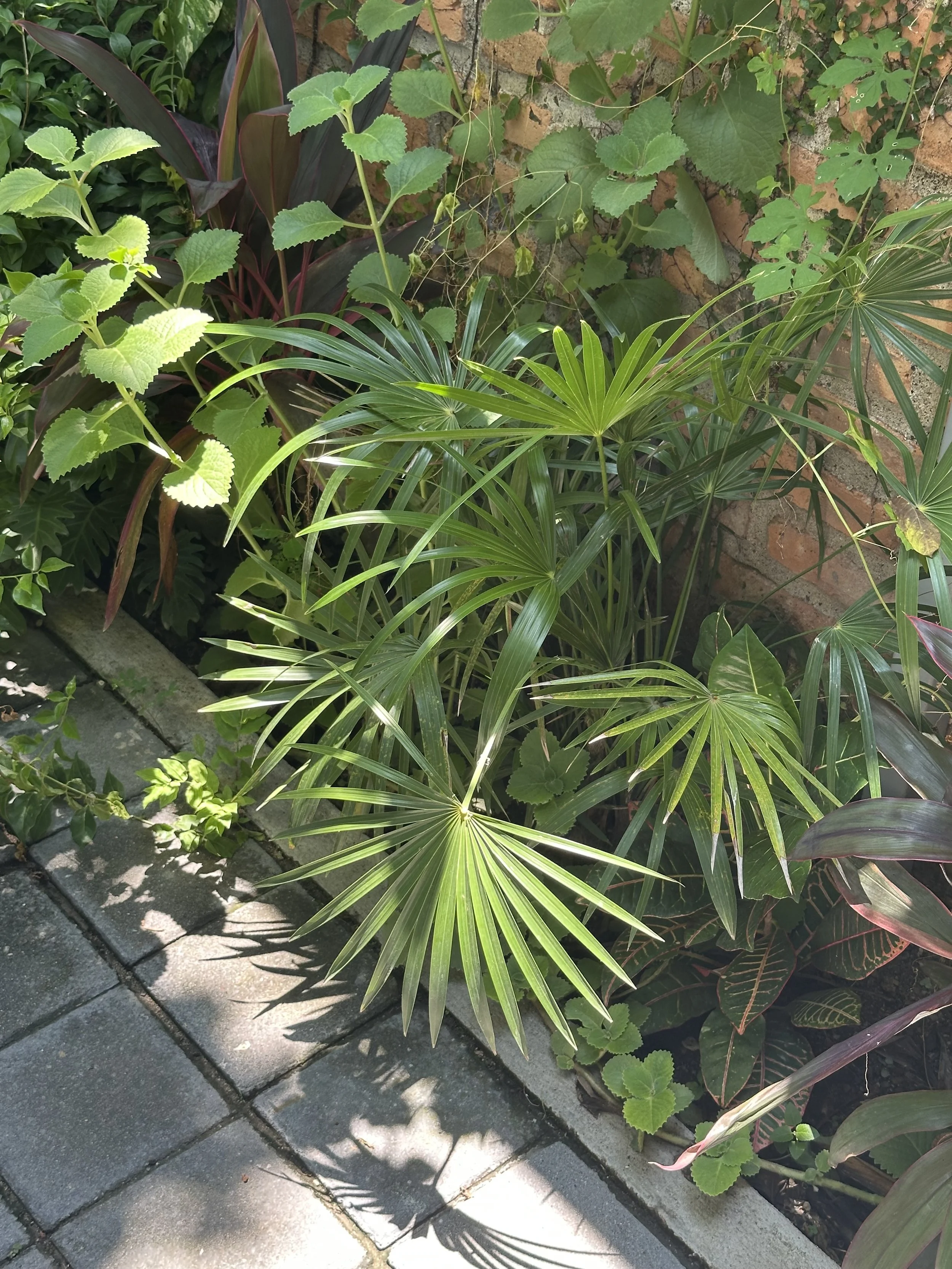 IMG_6130.jpeg