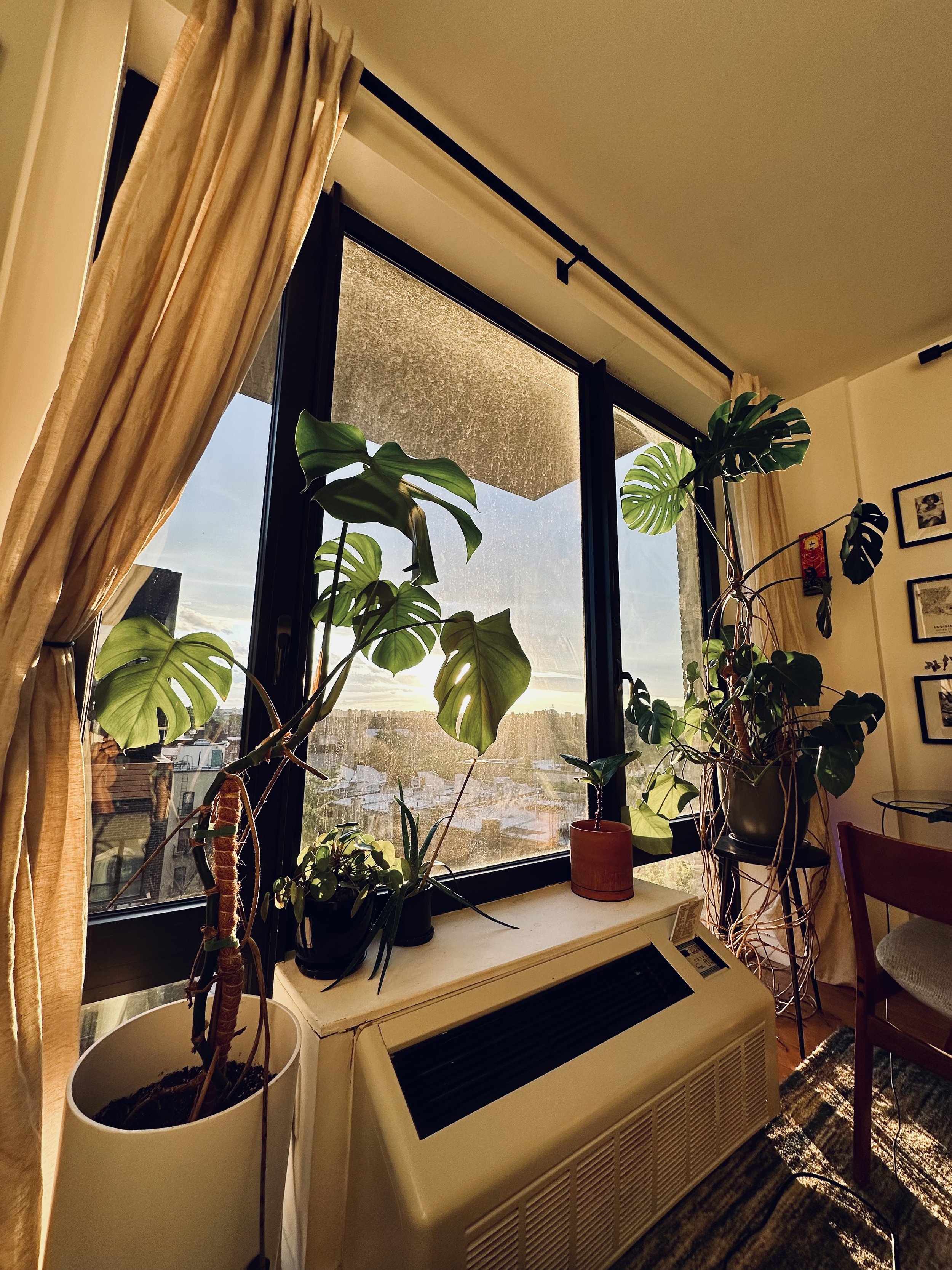 $3,300 Brooklyn Rent: How I Styled My Tiny NYC Apartment