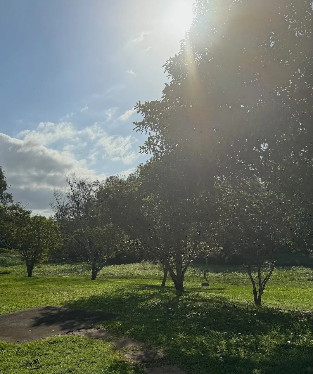 Trauma Therapy for PTSD: Why One Size Rarely Fits All