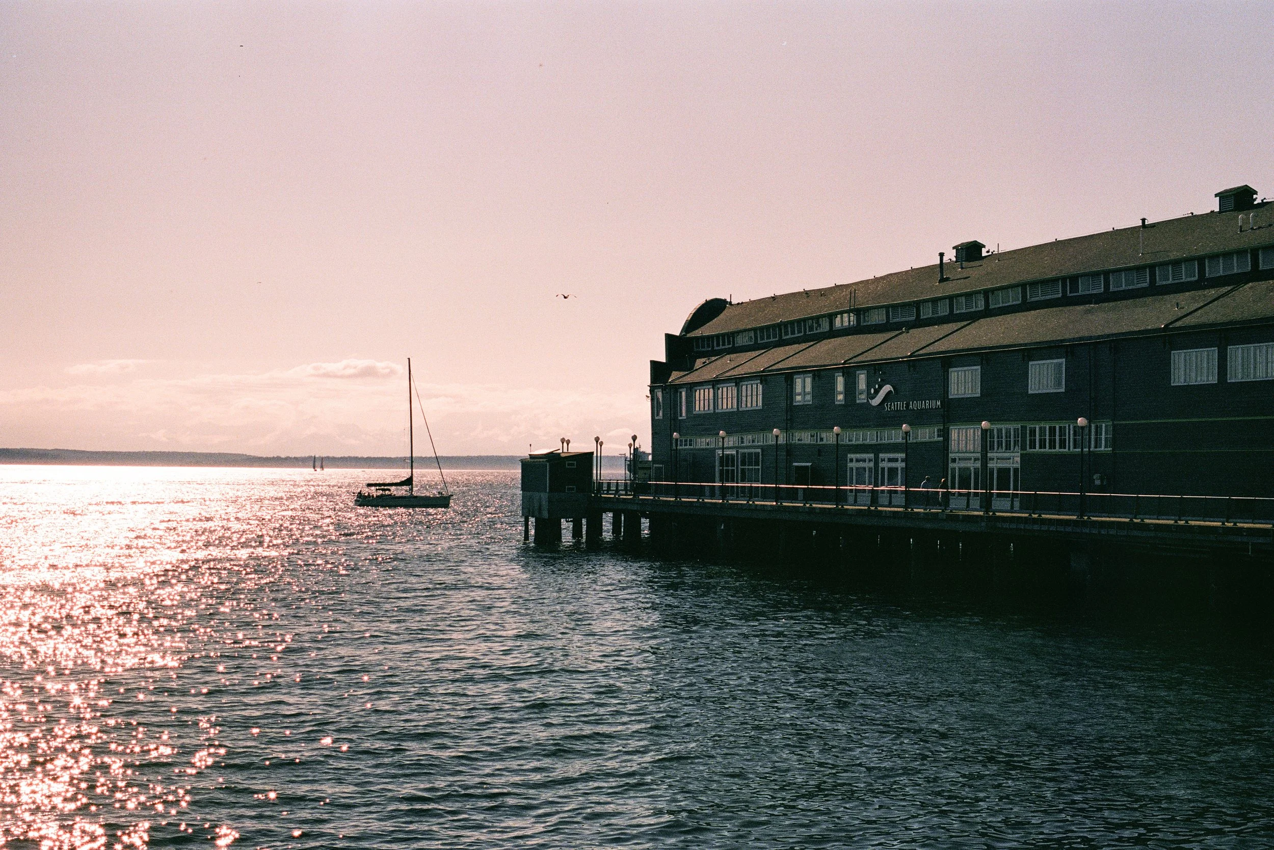 Web_Photos-Web Photos-8.jpg