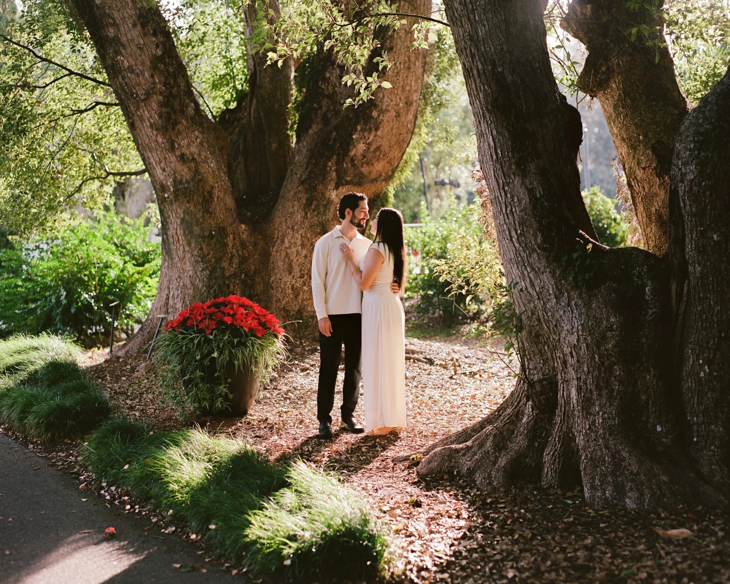 A pregnant woman wearing glasses and a white sleeveless dress standing outdoors in a forested area with trees in the background, looking down at her belly.