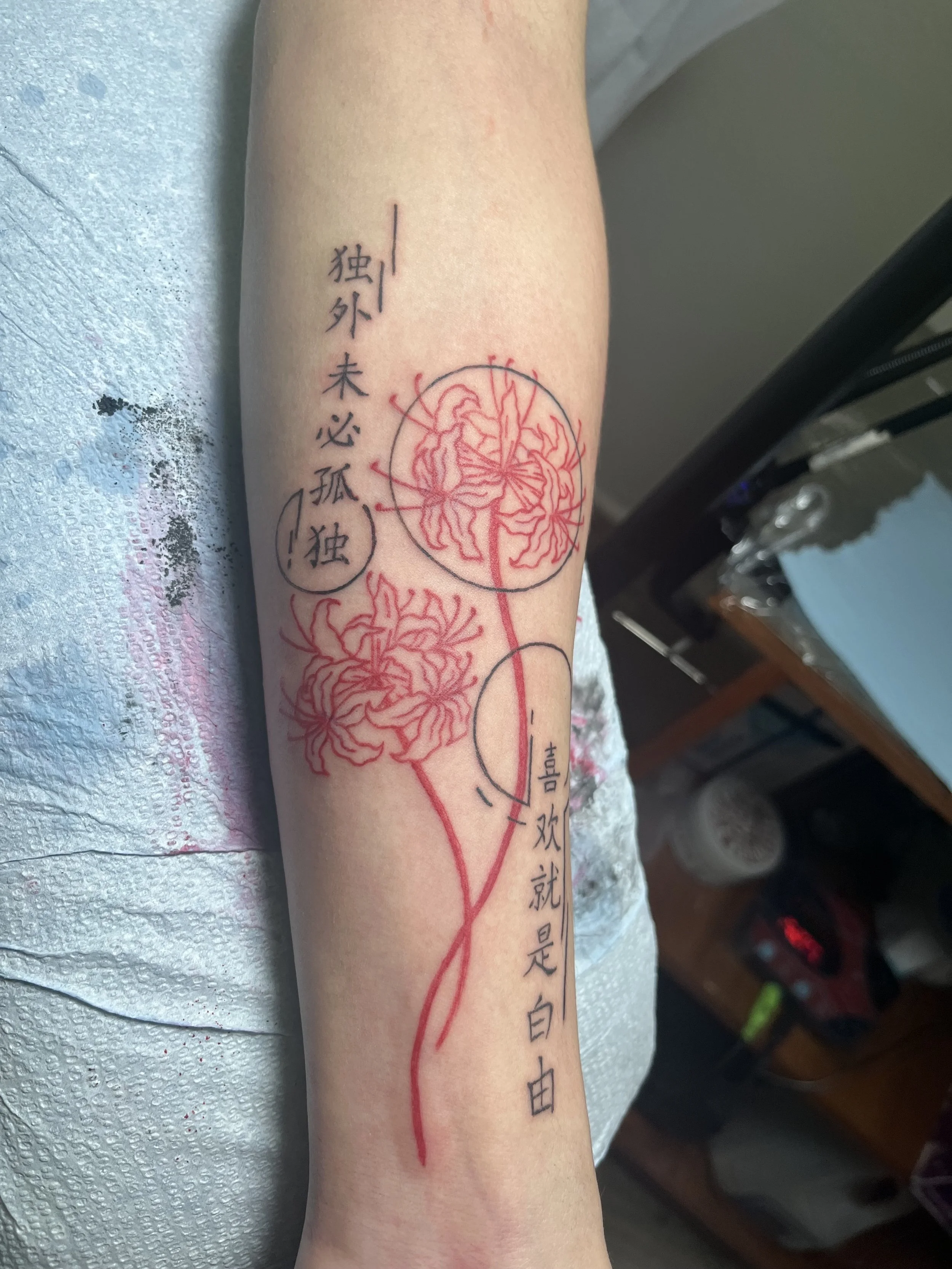 IMG-6590.jpeg