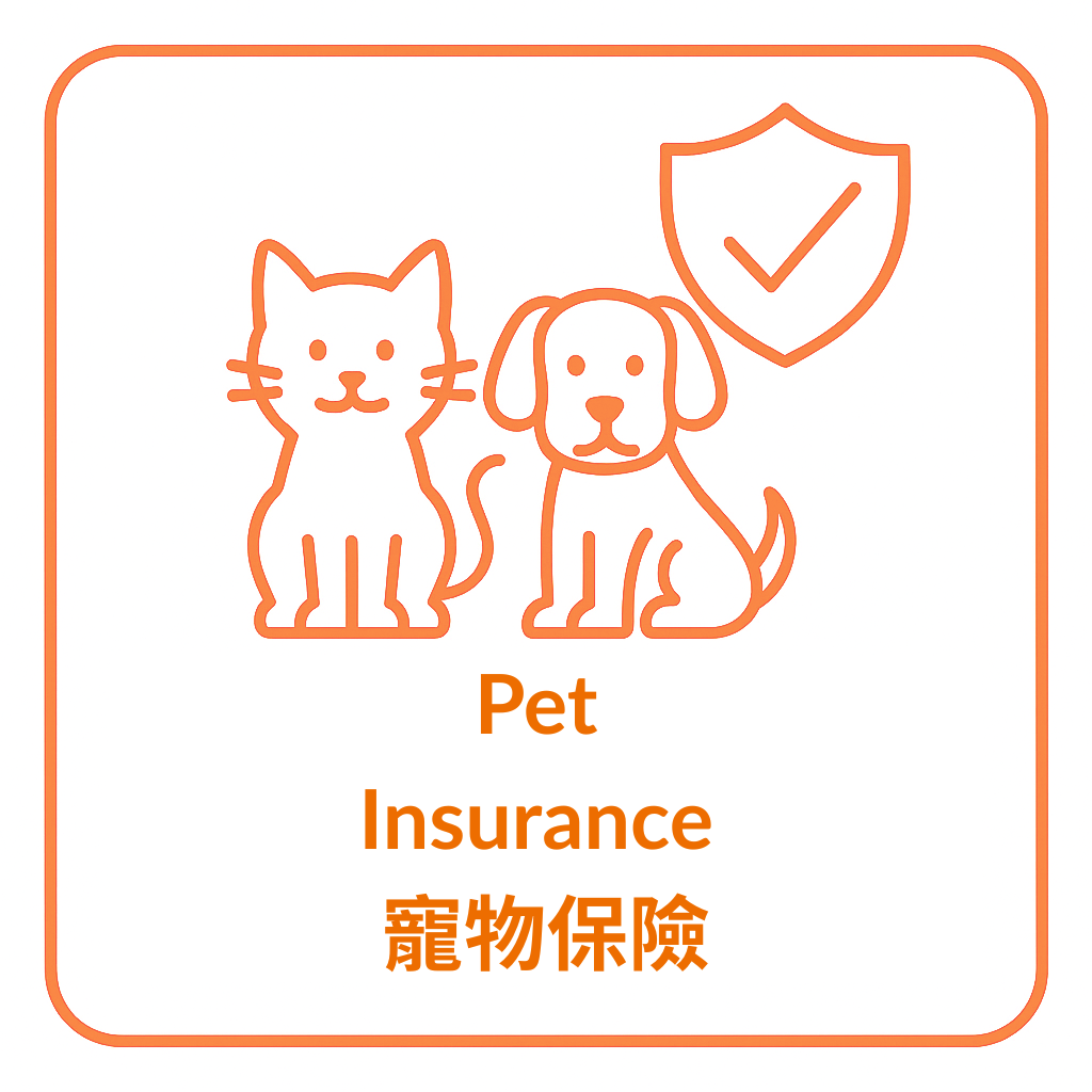 你的段落文字 (14).png