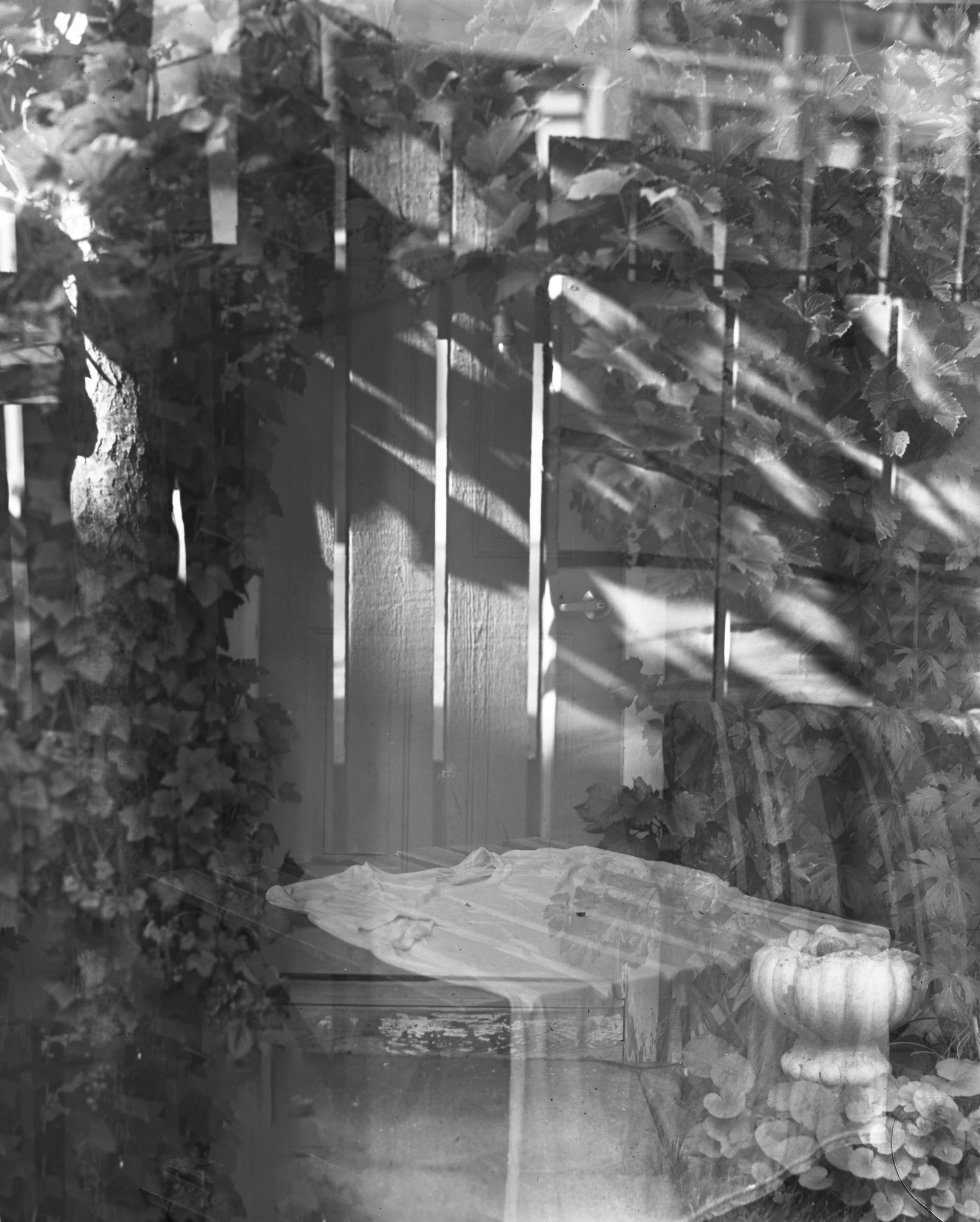 TaoSaunders4x5edit- Etherial- copy.jpg
