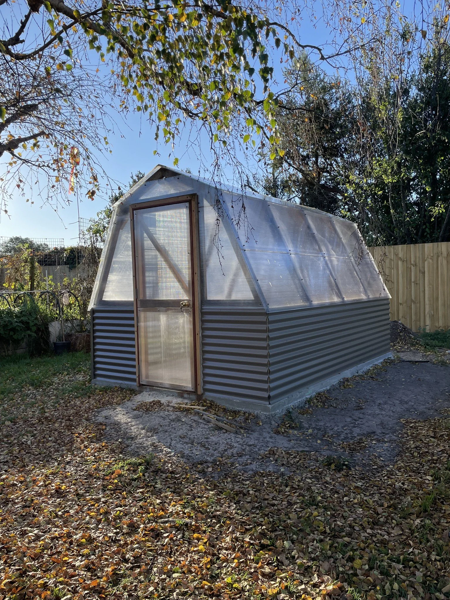 Lutz Greenhouse 2.jpg