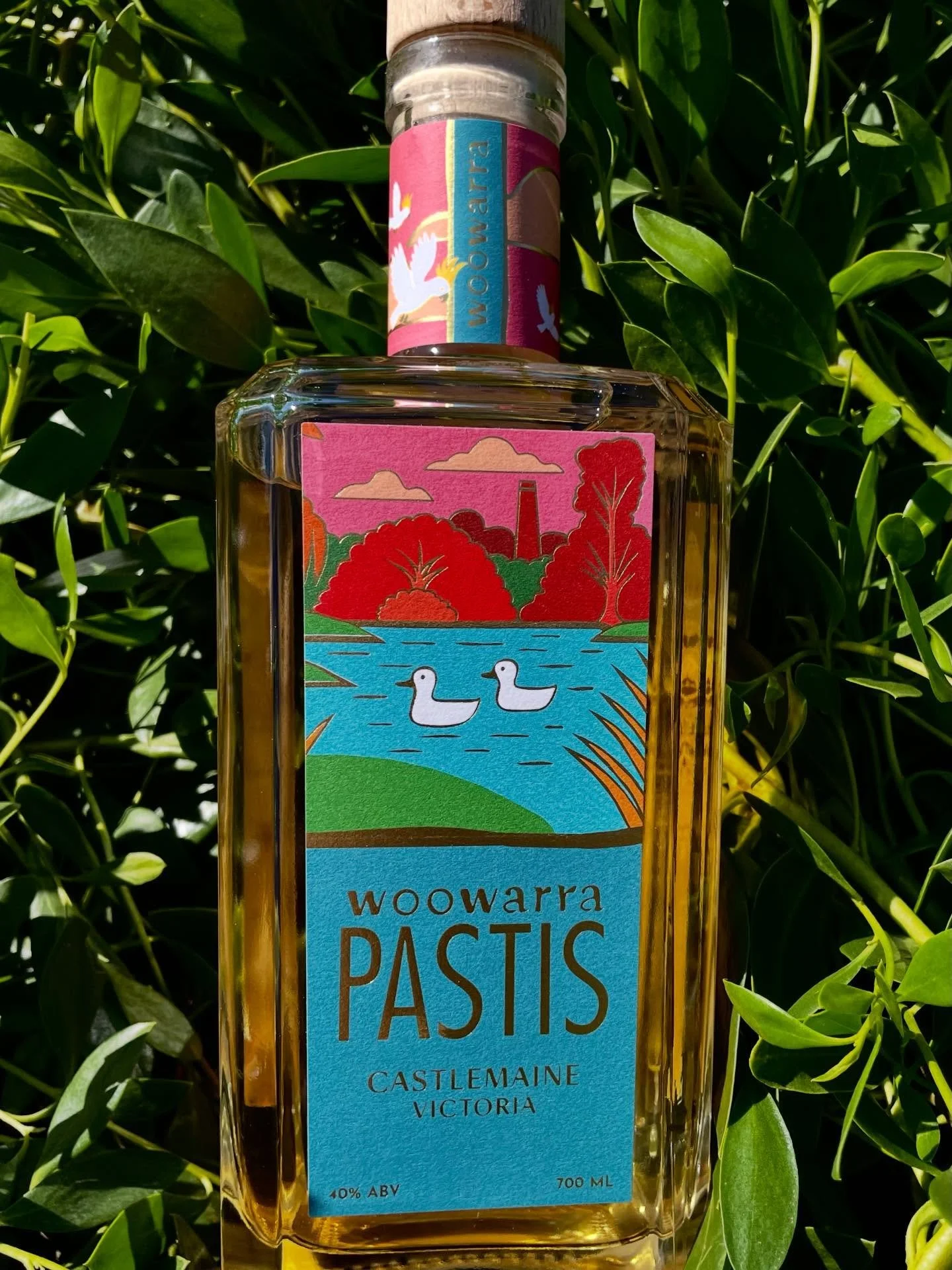 Almost ready. Castlemaine pastis with the same clarity and restraint as always. Central Victoria in a bottle.

#woowarra #madeincastlemaine #australianpastis #drinkvictorian #centralvictoria