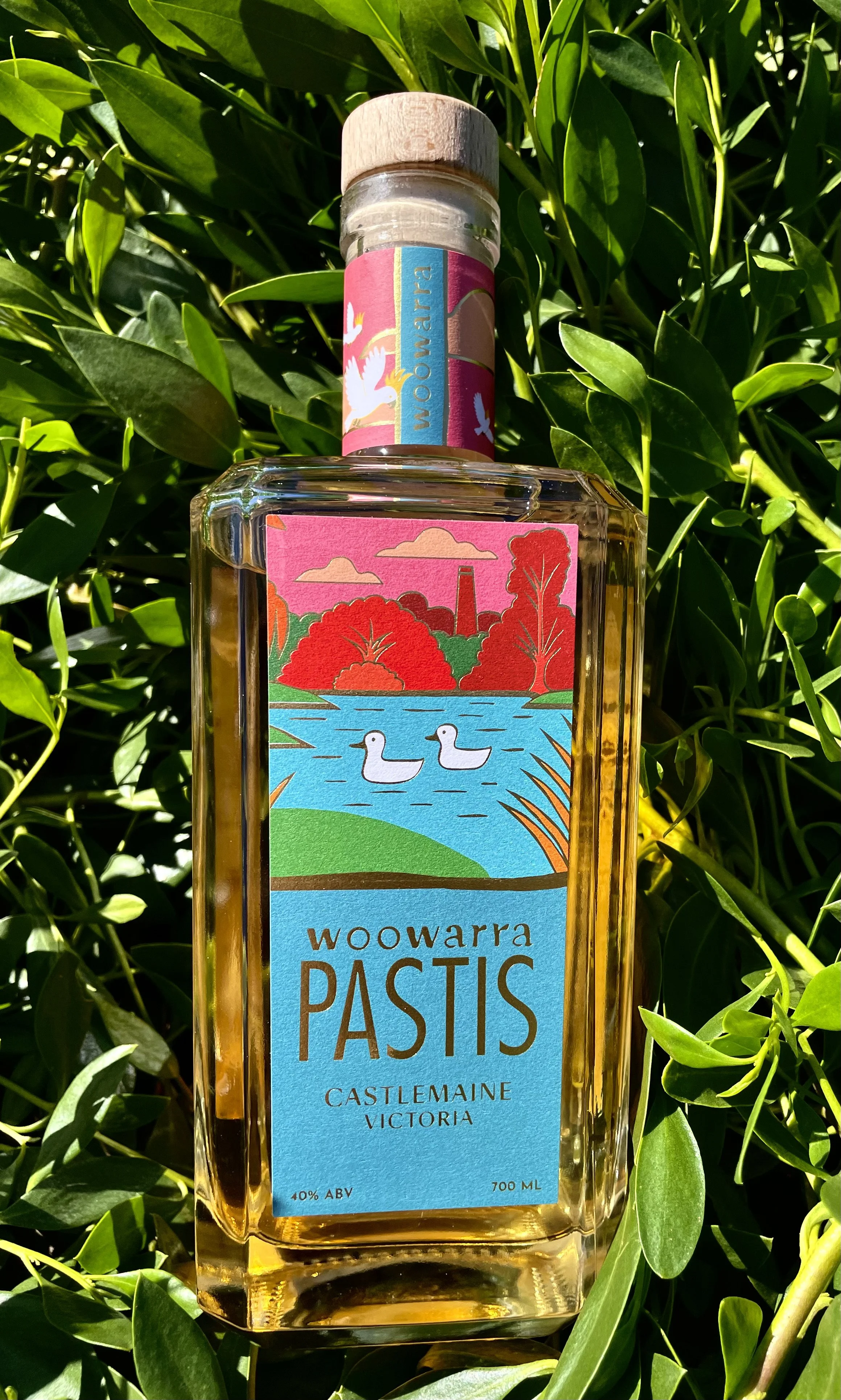 Woowarra Pastis