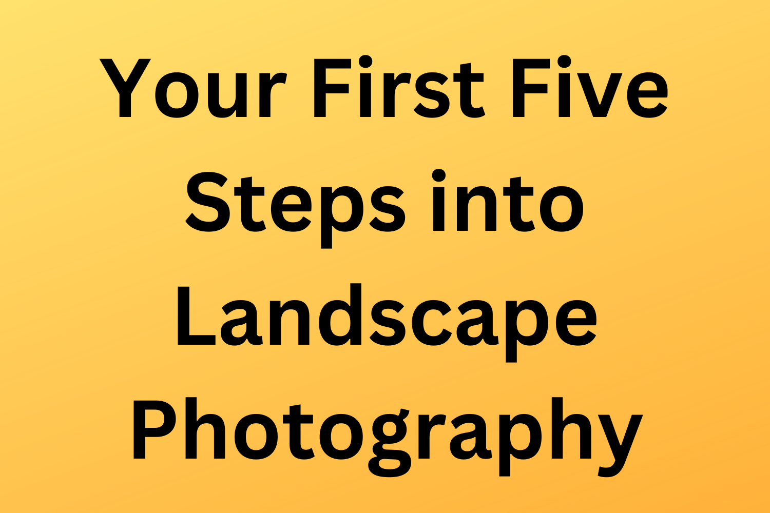 Your First Five Steps into Landscape Photography (Even in Your Local Park!) 