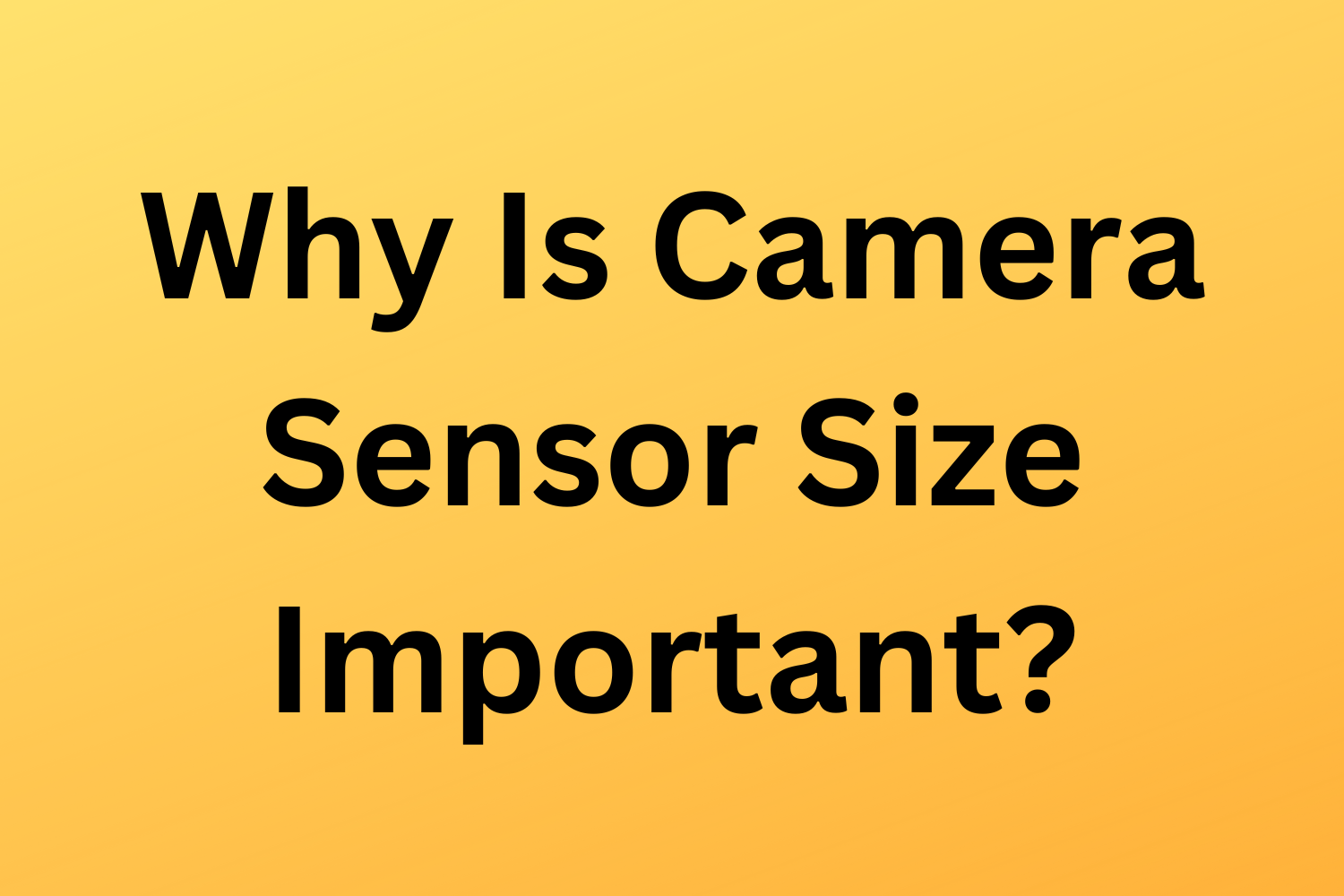 Why Is Camera Sensor Size Important?