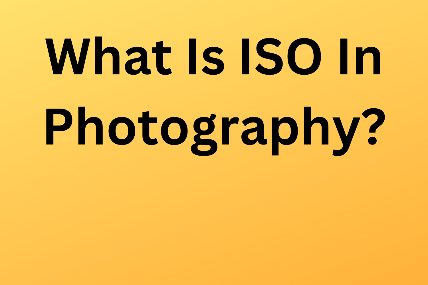 What Is ISO In Photography? All You Need To Know