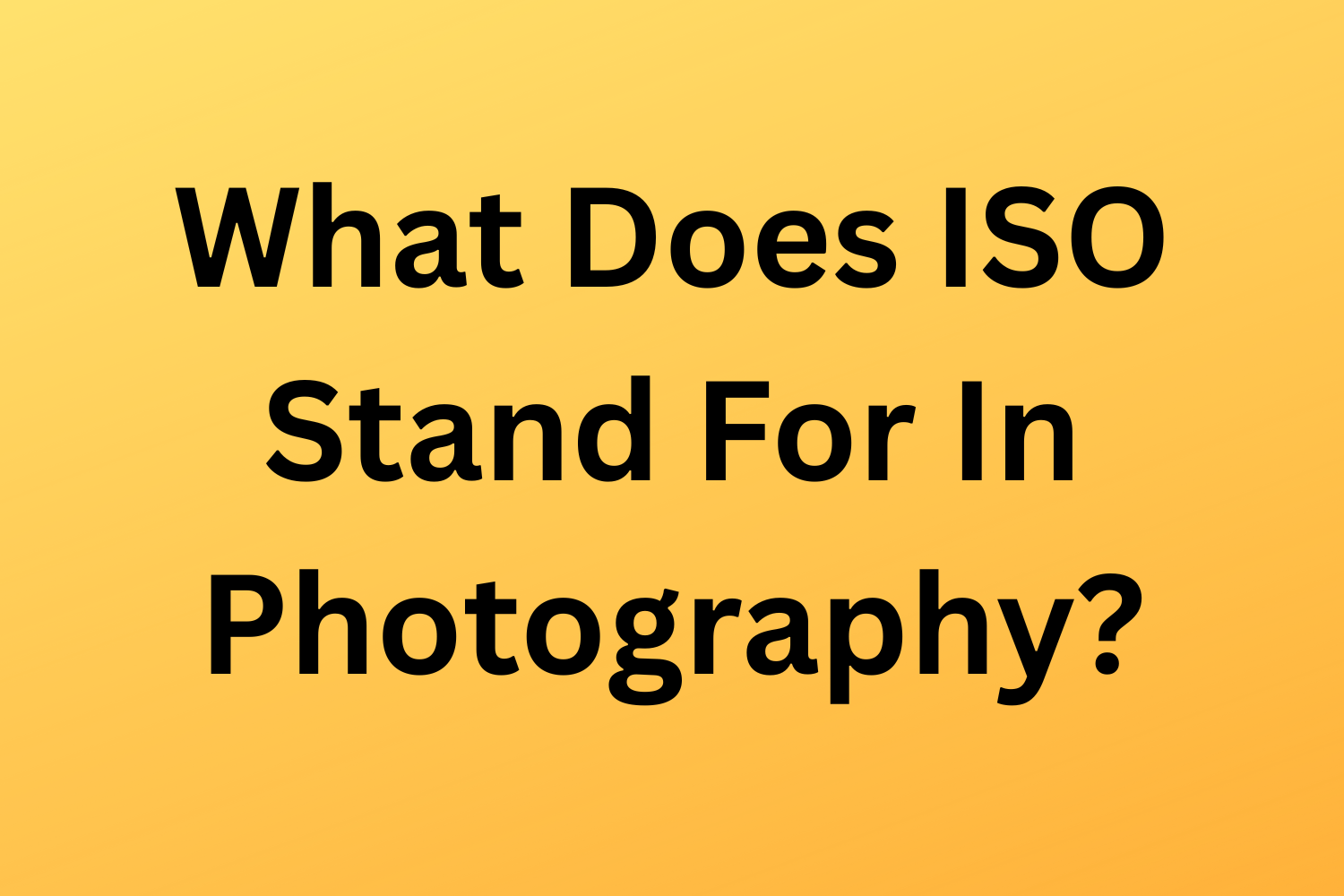 What Does ISO Stand For In Photography?