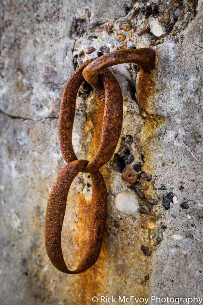 Capturing the Little Things: How to Master Detail Photography