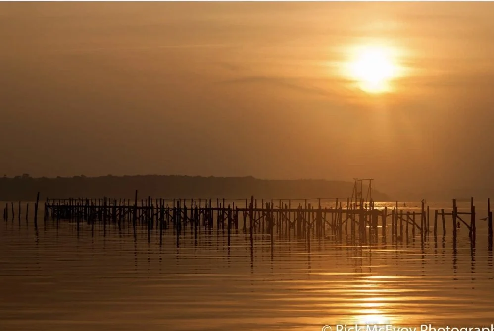 Dorset Sunset Photography: The Ultimate Guide to Poole Harbour