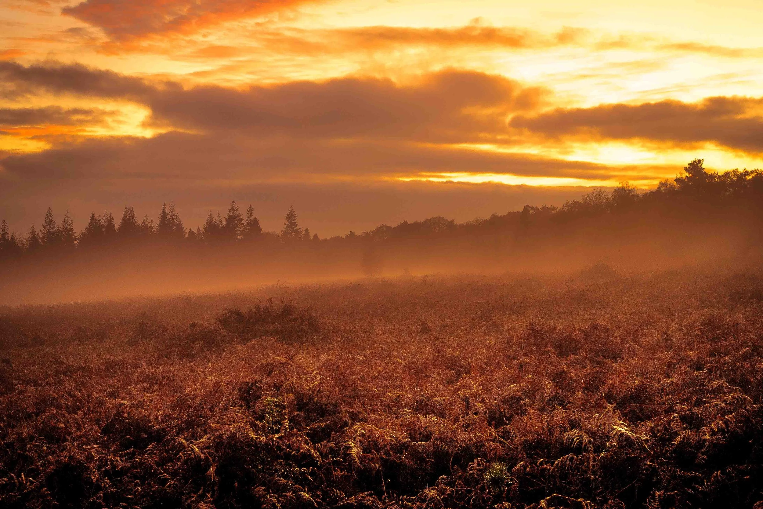 Your First Five Steps into Landscape Photography (Even in Your Local Park!) 