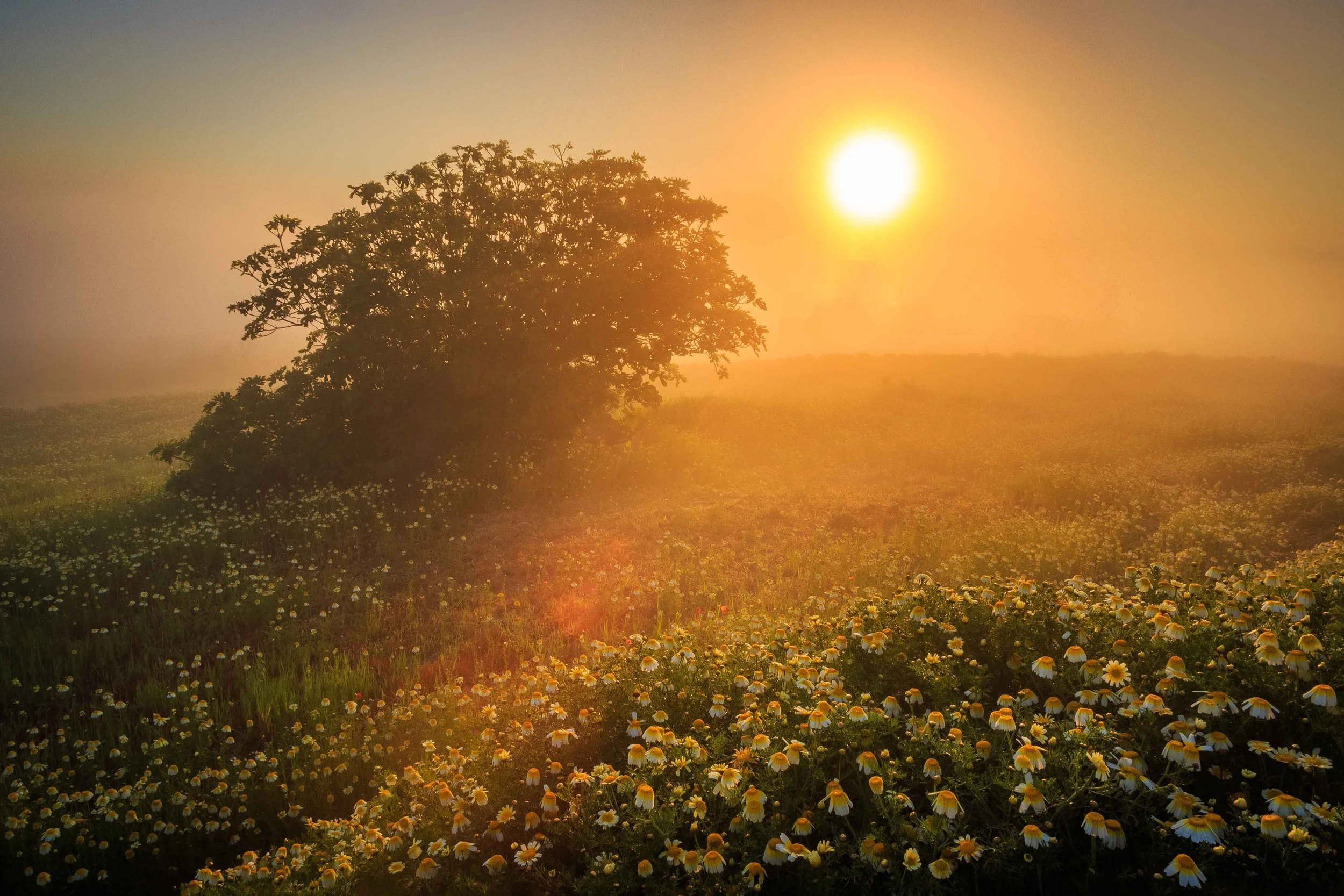 Finding Your Best Angle: Simple Tips for Better Composition