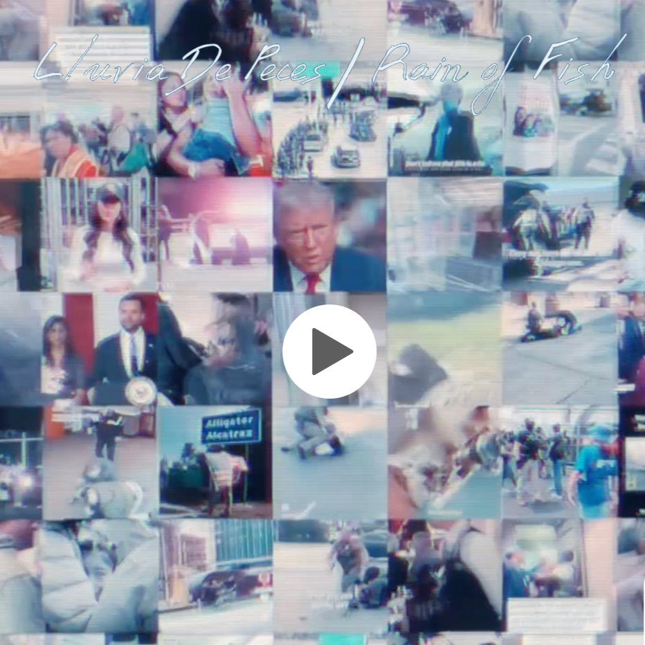 Collage of multiple photos including people, city scenes, and a political figure, with overlay text 'Laura De Paces / Rain of Fish'.