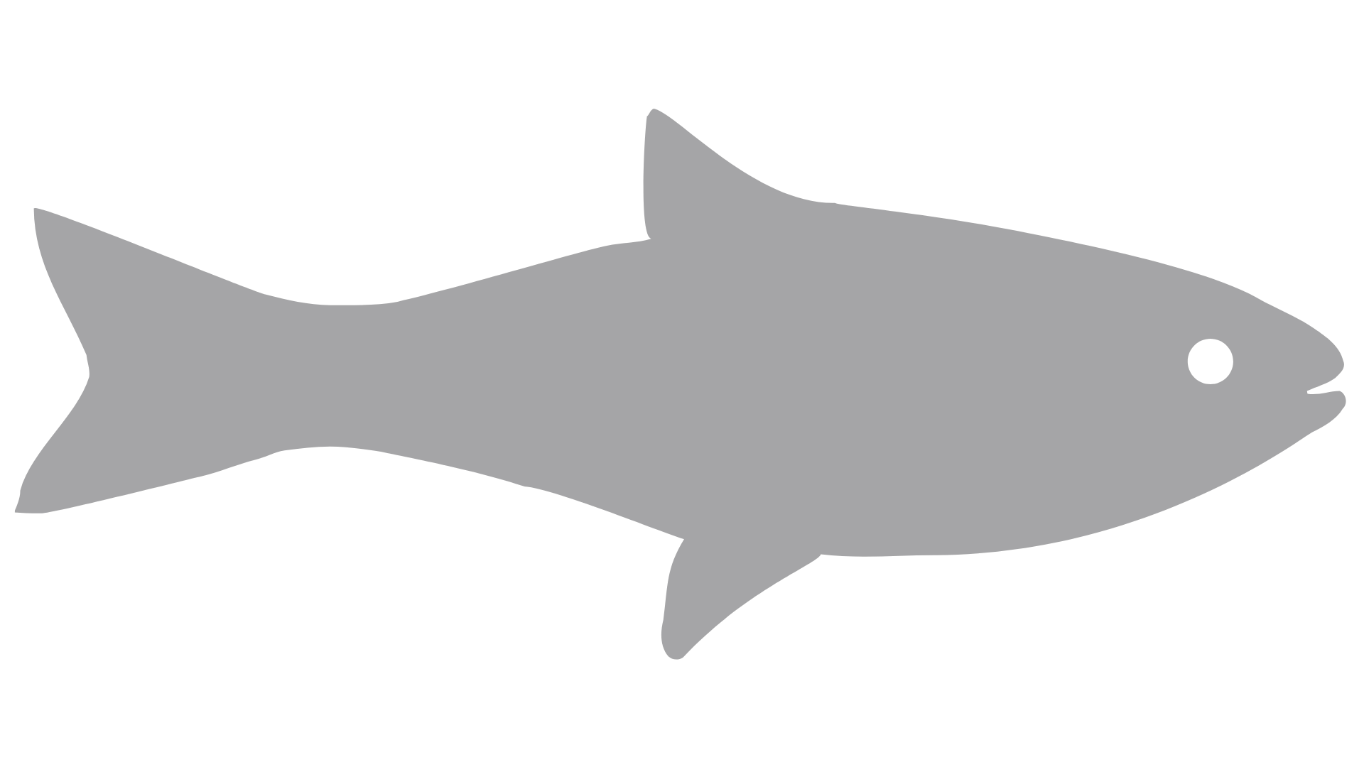Silhouette of a fish in gray.