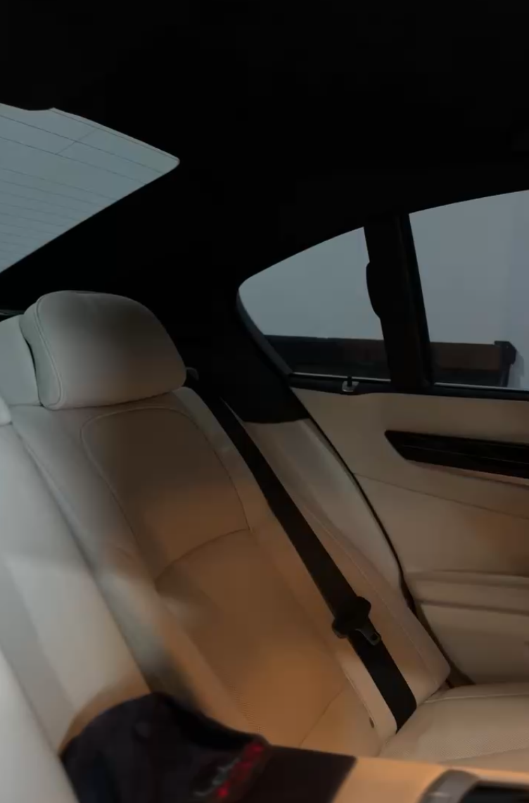 BMW 7 Series Dog Hair Removal.JPG