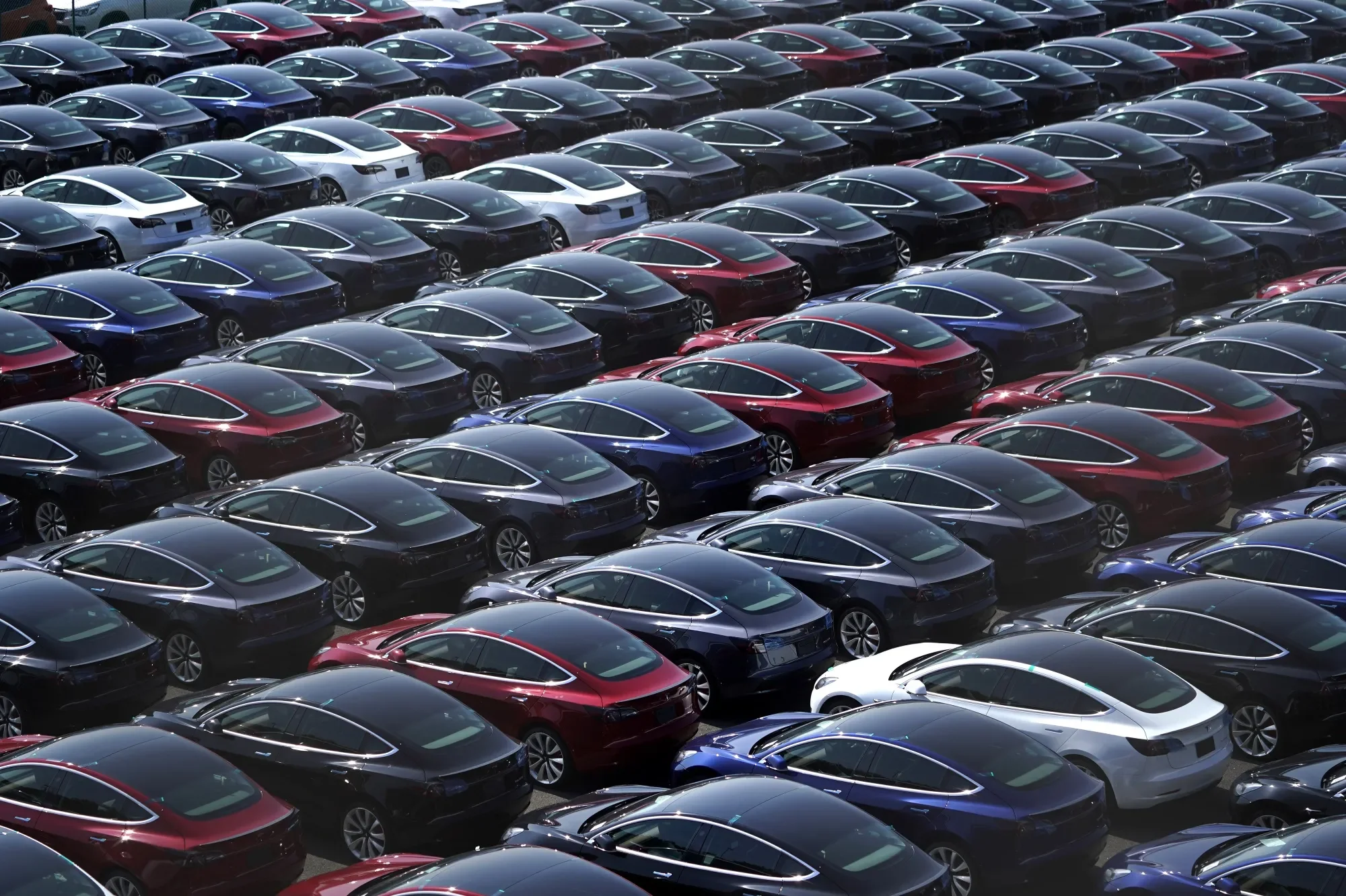 VFACTS reports a significant rise in EV sales in Australia in 2026 – Due to consistently thin and underspec paint from EV manufacturers, it's now more important than ever to have your vehicle properly protected with a Ceramic Coating.