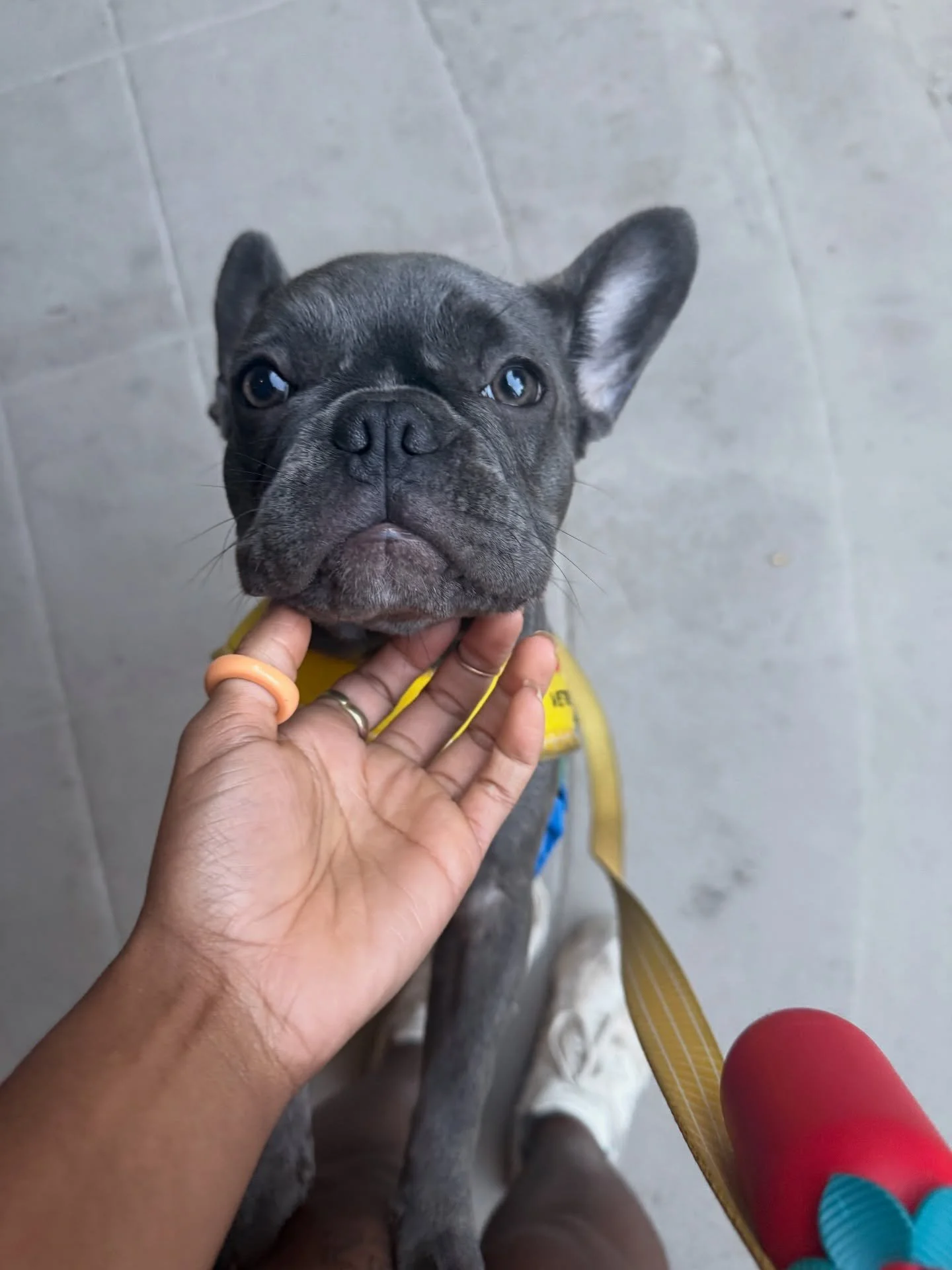 Favorite city, favorite baby girly 🐾 💕