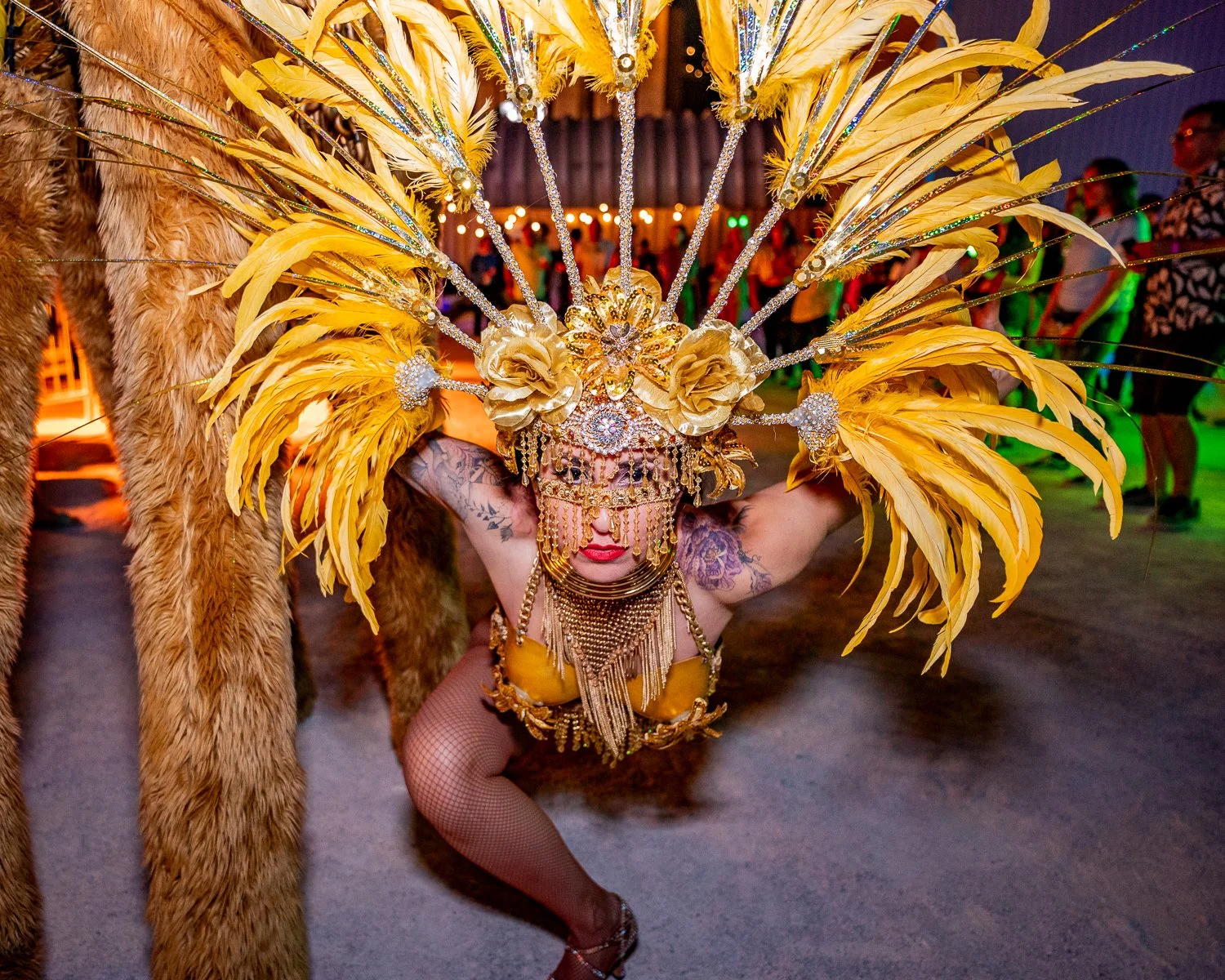 Dance With Me Music & Art Festival