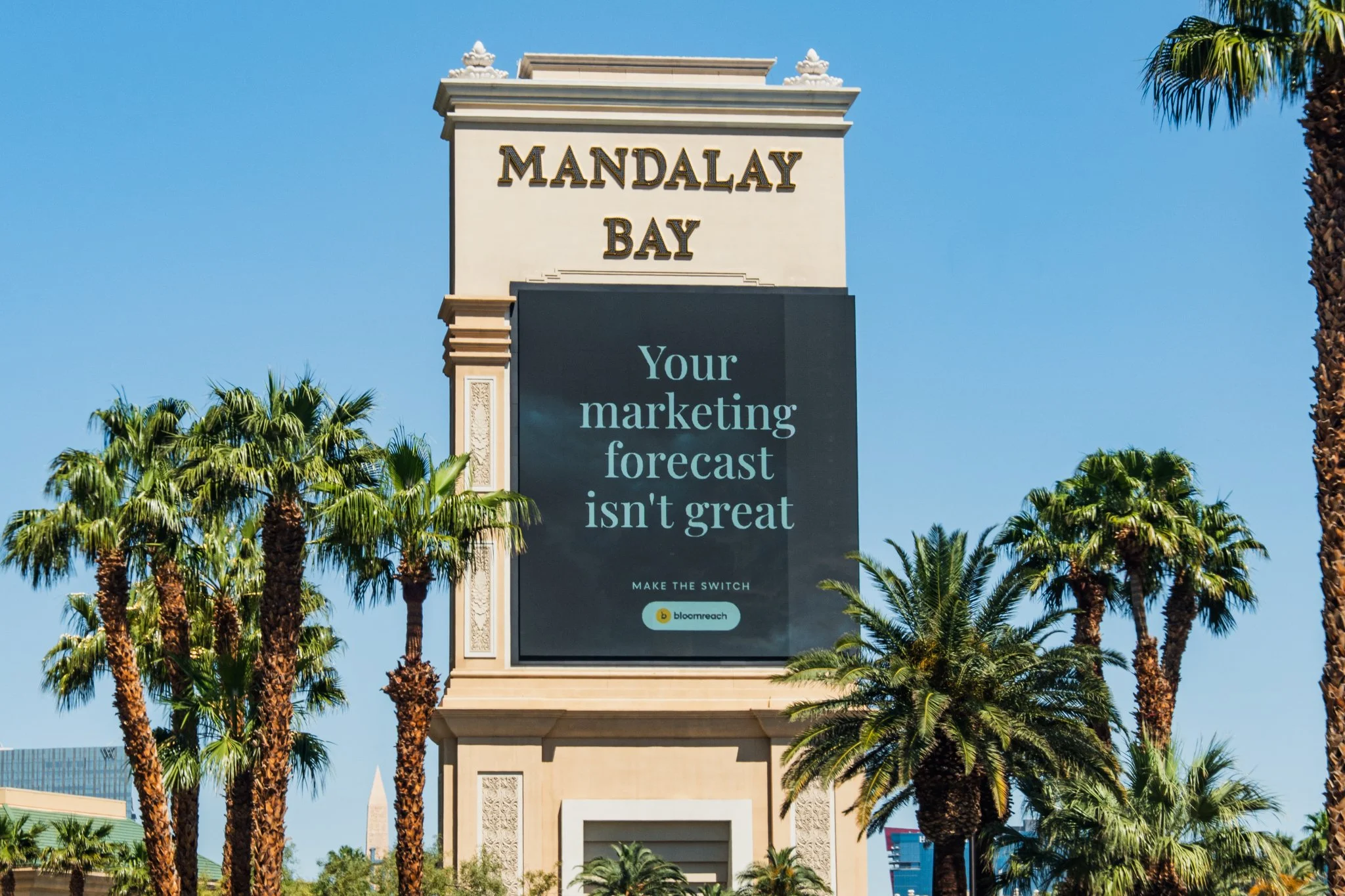 website-commercial-8.jpg