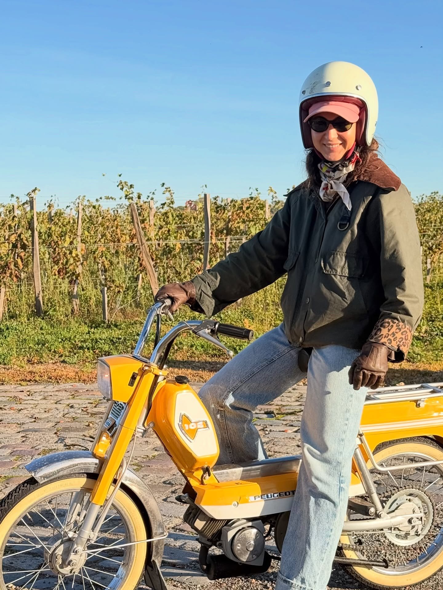 Autumn 🍁 Dump&hellip;
La saison s&rsquo;&eacute;teint doucement, les vignes changent de couleur&hellip; et pour nous, c&rsquo;est le moment de passer en mode &ldquo;coulisses&rdquo;.
Place &agrave; la remise en beaut&eacute; des mobylettes, et aux i