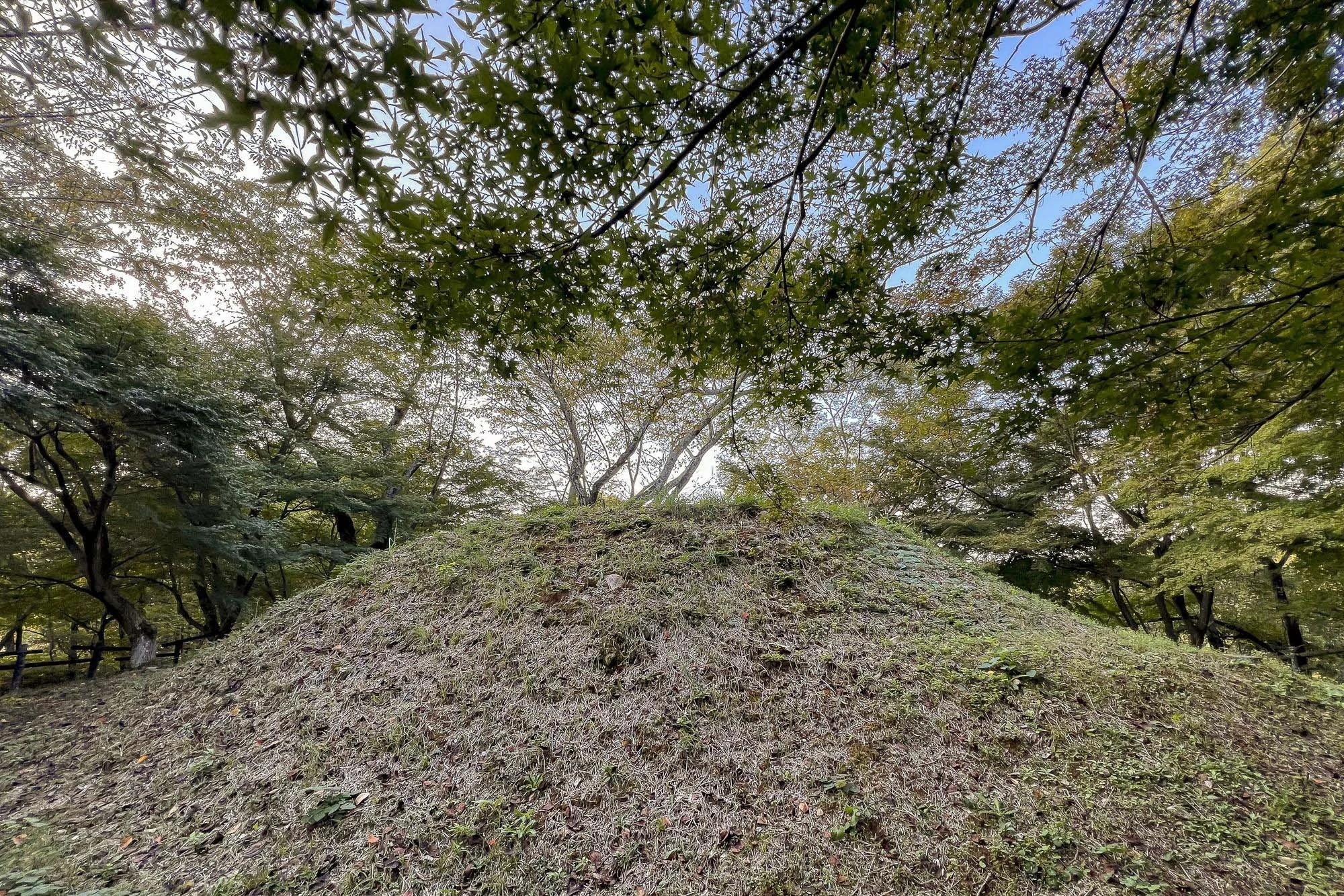 A grassy mound with trees and leafy branches overhead, under a blue sky.