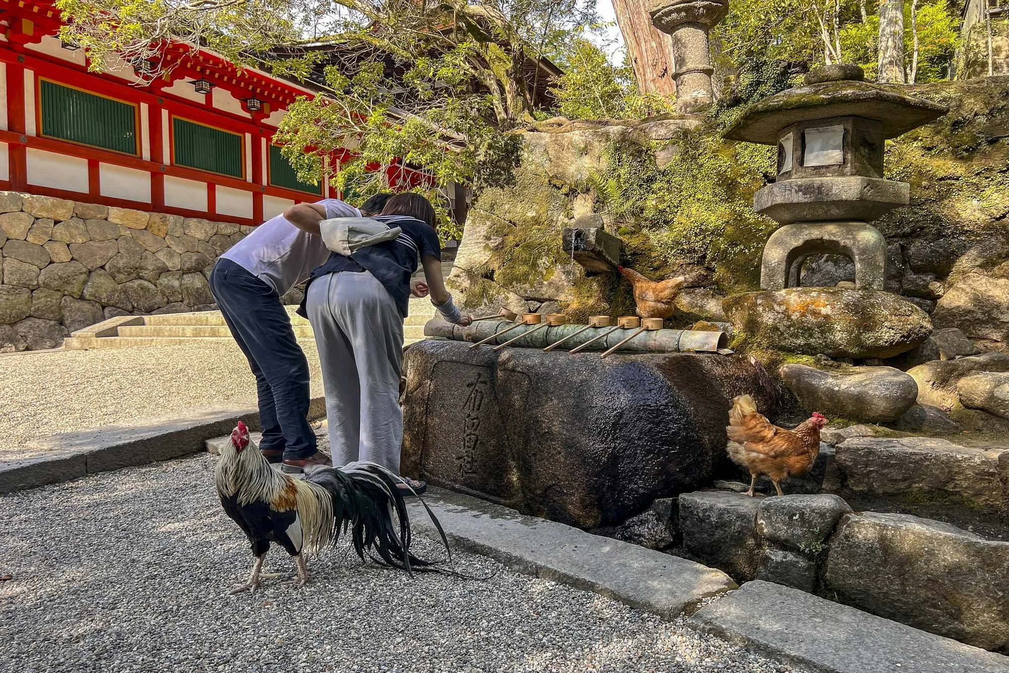 Isonokami-jingu-Shrine_013.jpg